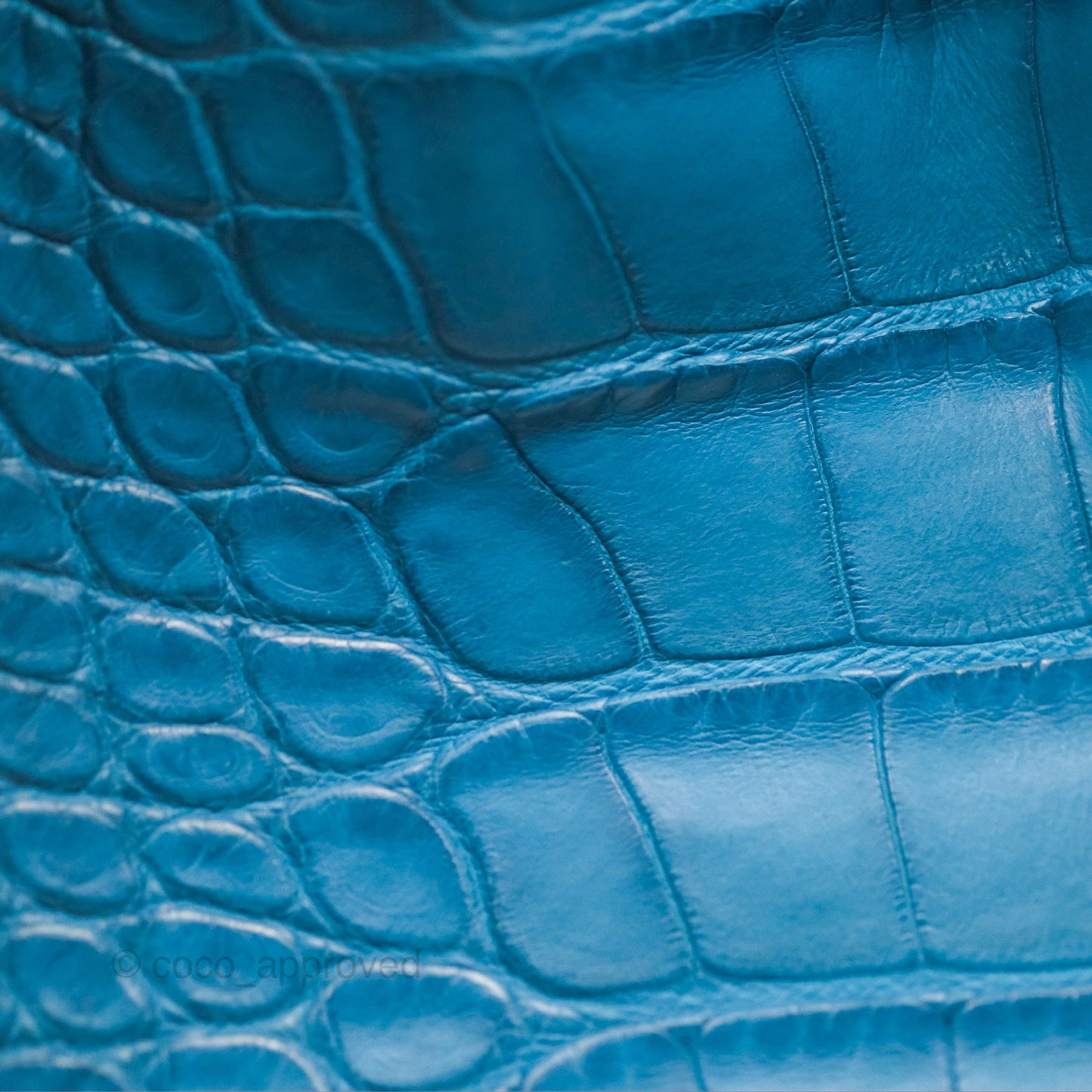 Hermès Birkin 30 Retourne Colvert Matte Niloticus Crocodile Palladium Hardware