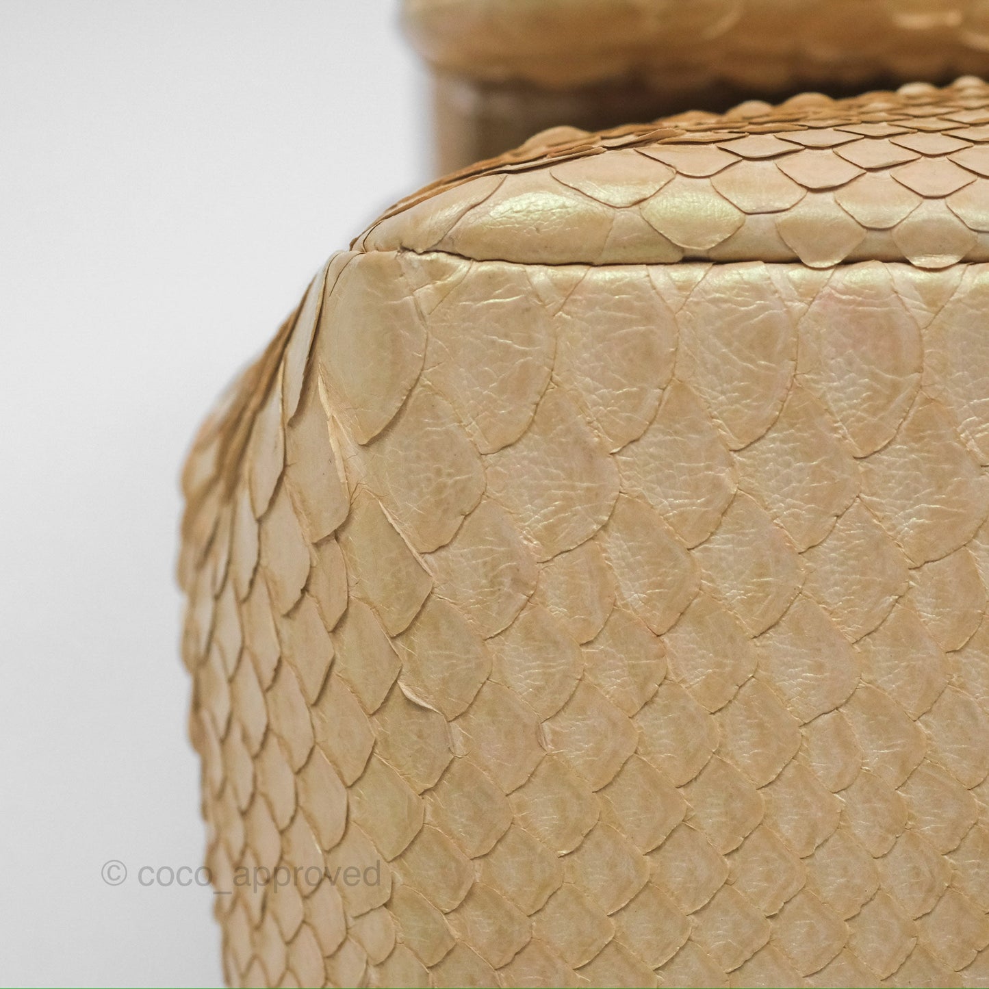 Chanel Jumbo Double Flap Iridescent Gold Python Gold Hardware⁣⁣