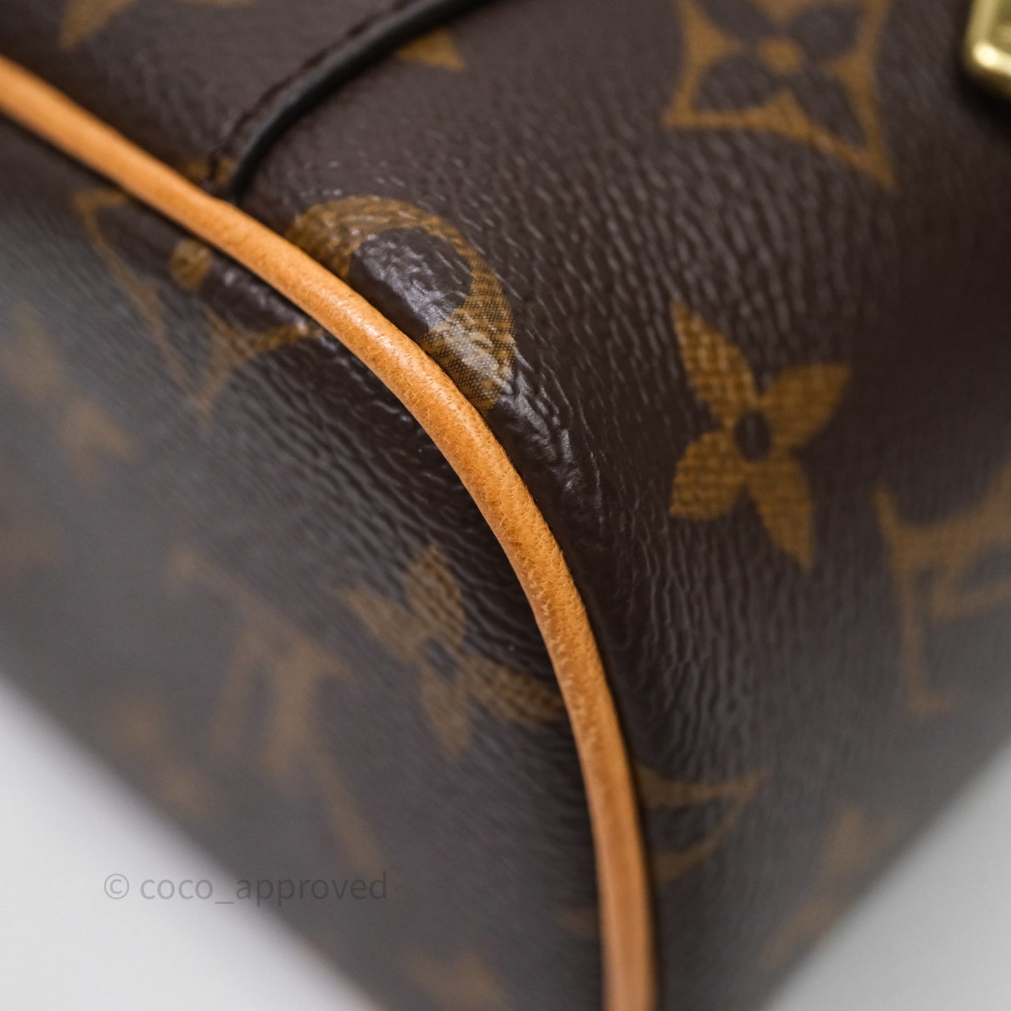 Louis Vuitton Nice Nano Monogram Canvas