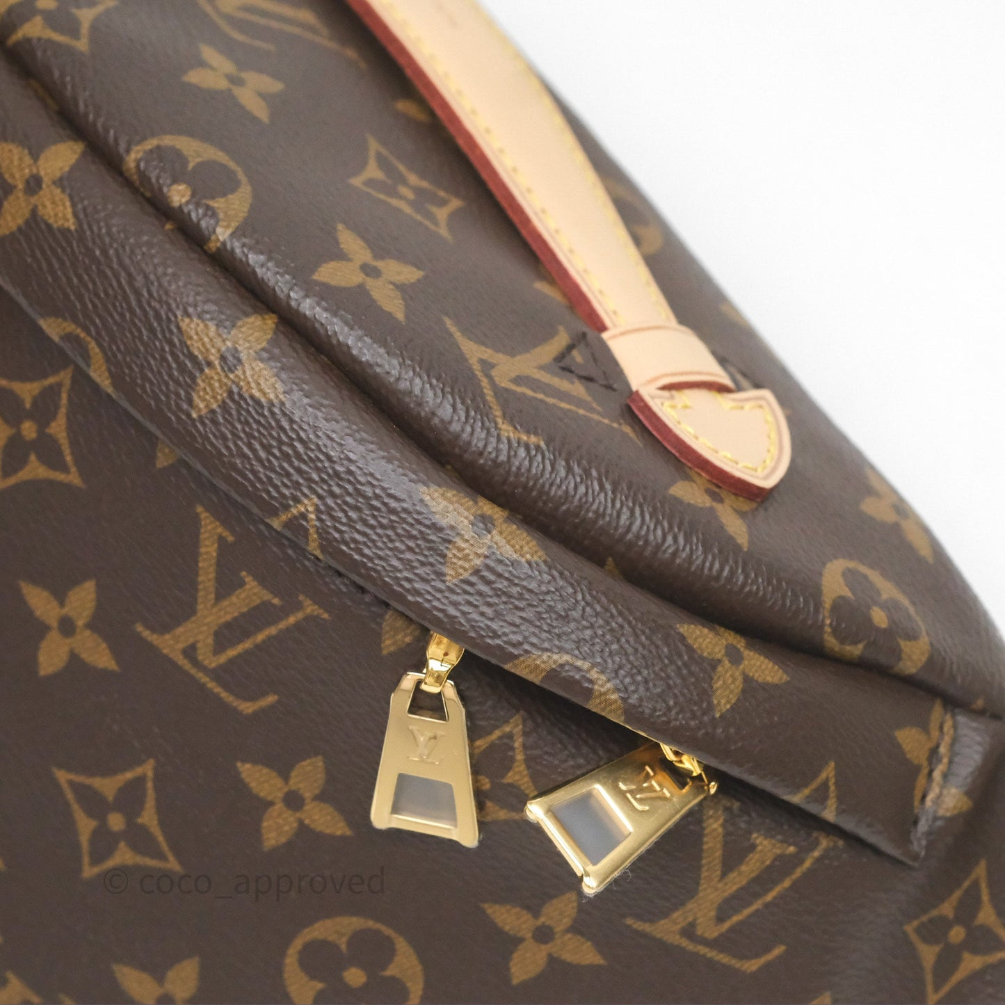 Louis Vuitton Bum Bag Monogram Canvas