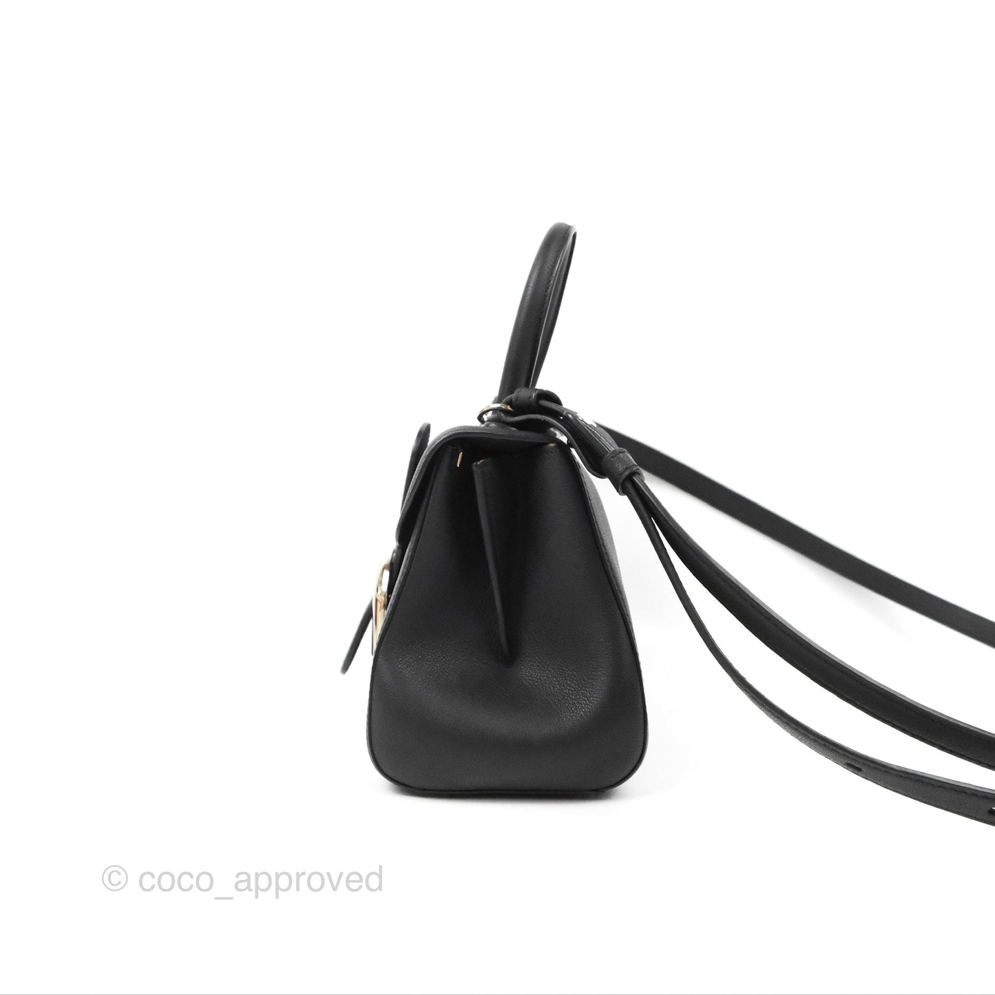 Delvaux Mini Brillant Bag Vegetal Rodeo Black Calf Silver Hardware