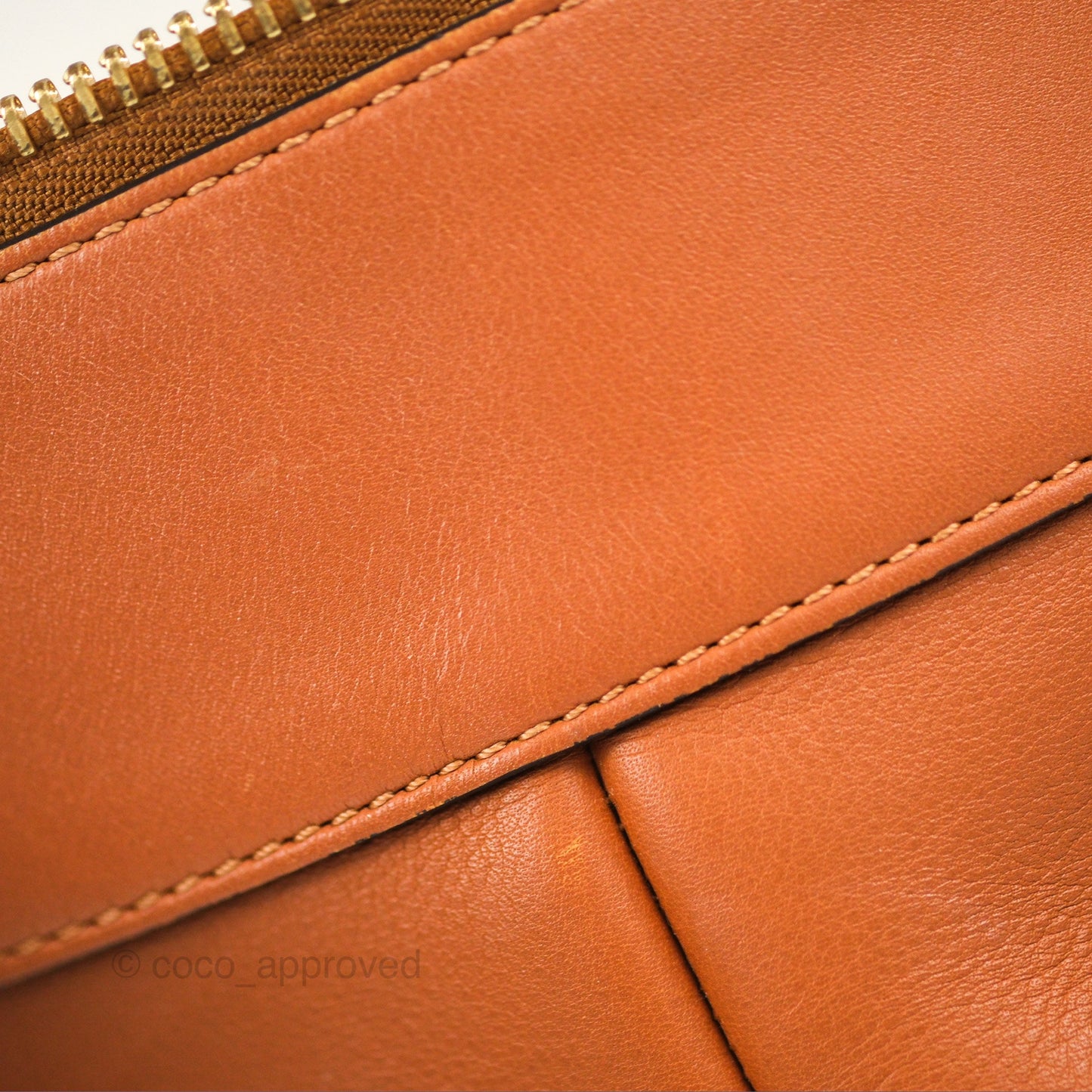Loewe Large Fortune Hobo Tan Calfskin