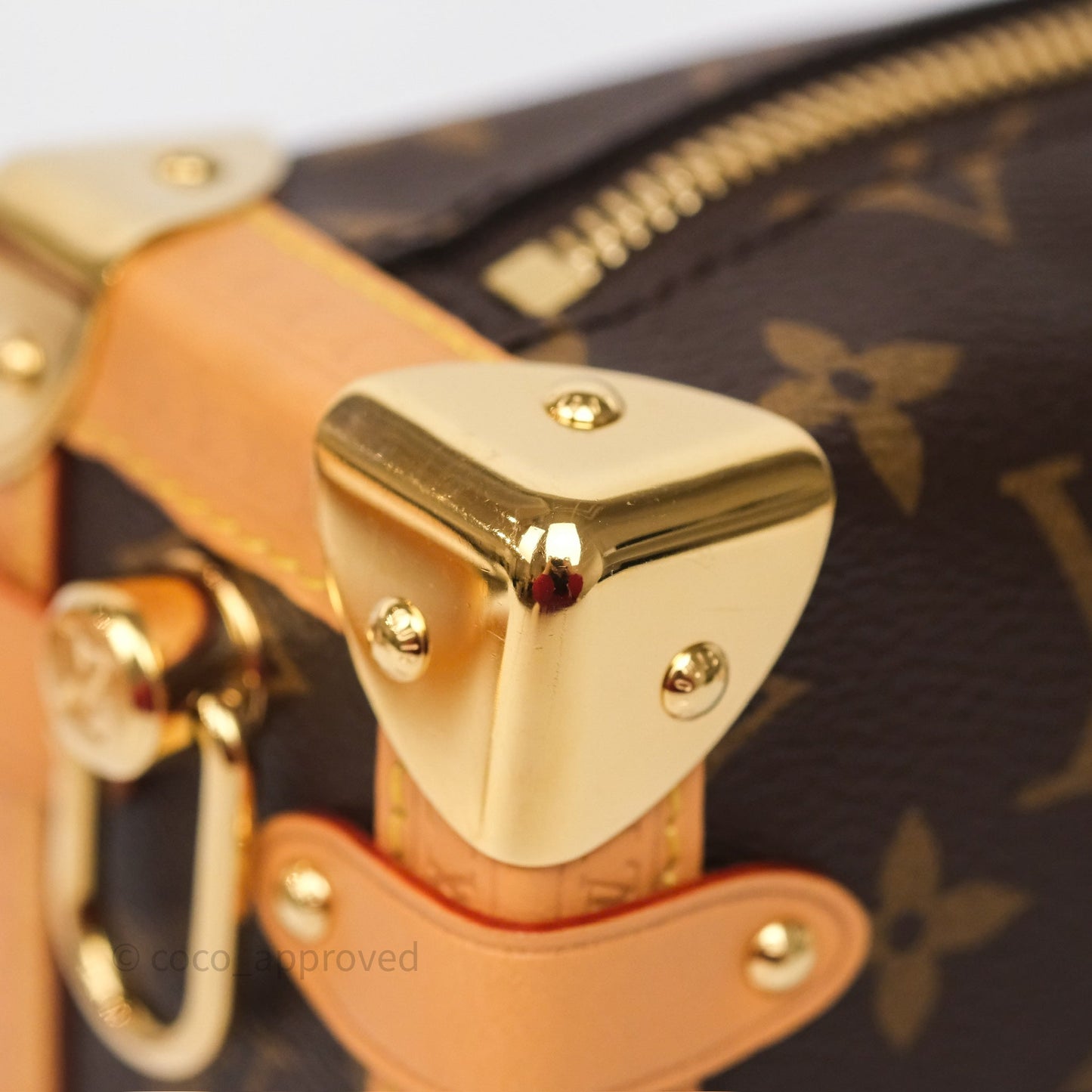Louis Vuitton Side Trunk PM Monogram Canvas