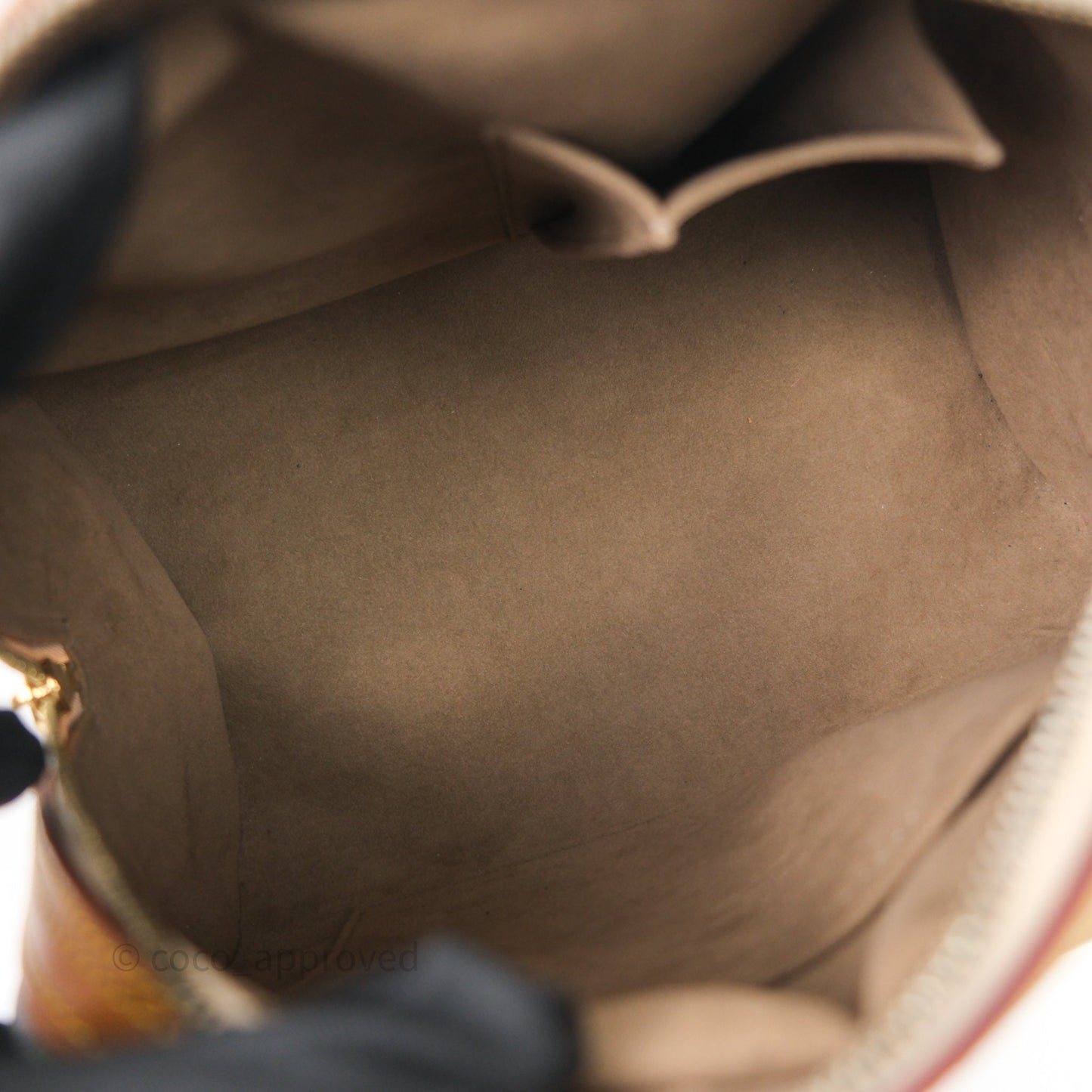 Louis Vuitton x TM Priscilla Bag Multicolor Monogram Canvas