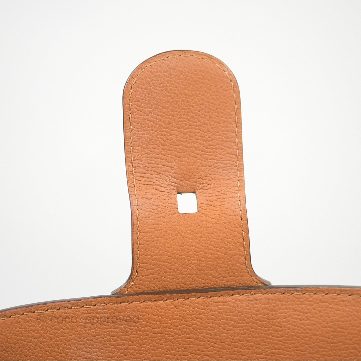 Delvaux Mini Brillant Bag Vegetal Rodeo Calf Gold Hardware