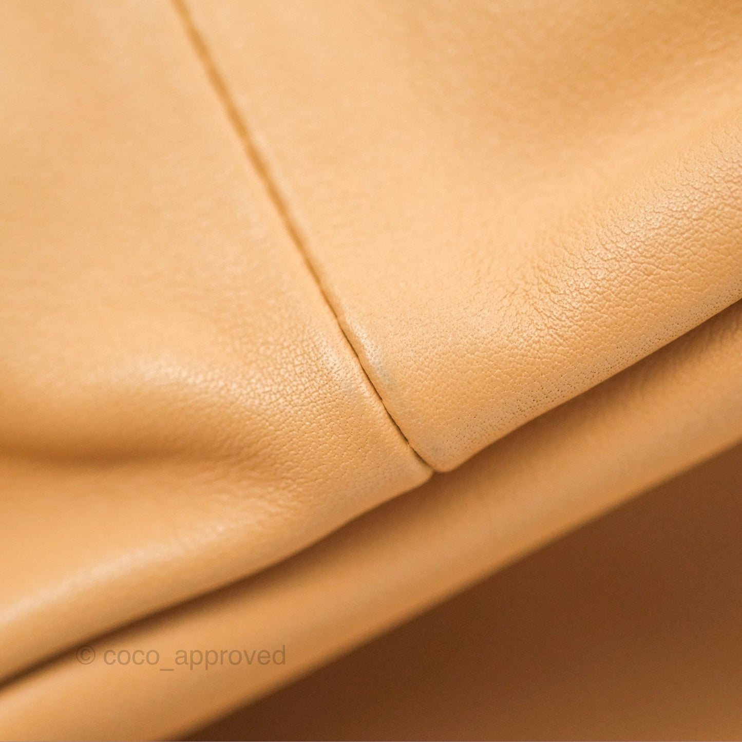 Bottega Veneta Teen Double Knot Hobo Almond Calfskin
