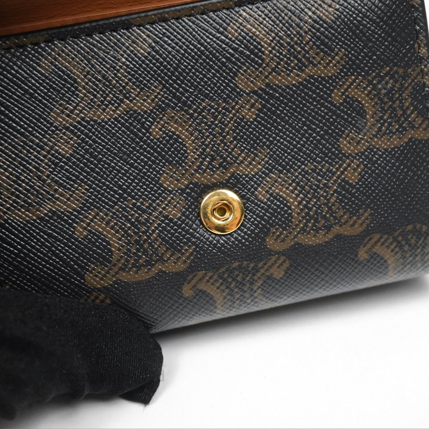 Celine Compact Wallet with Coin Triomphe Canvas Tan Lambskin