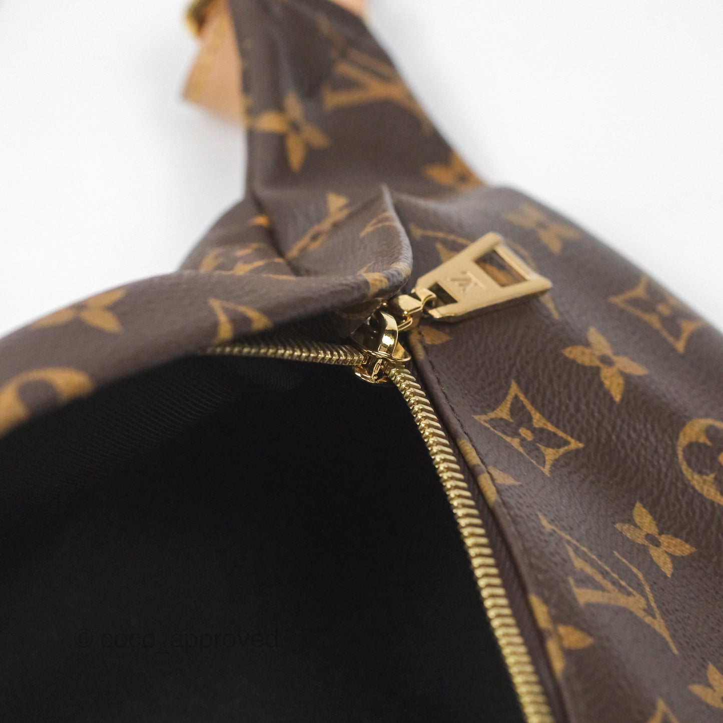 Louis Vuitton Bum Bag Monogram Canvas