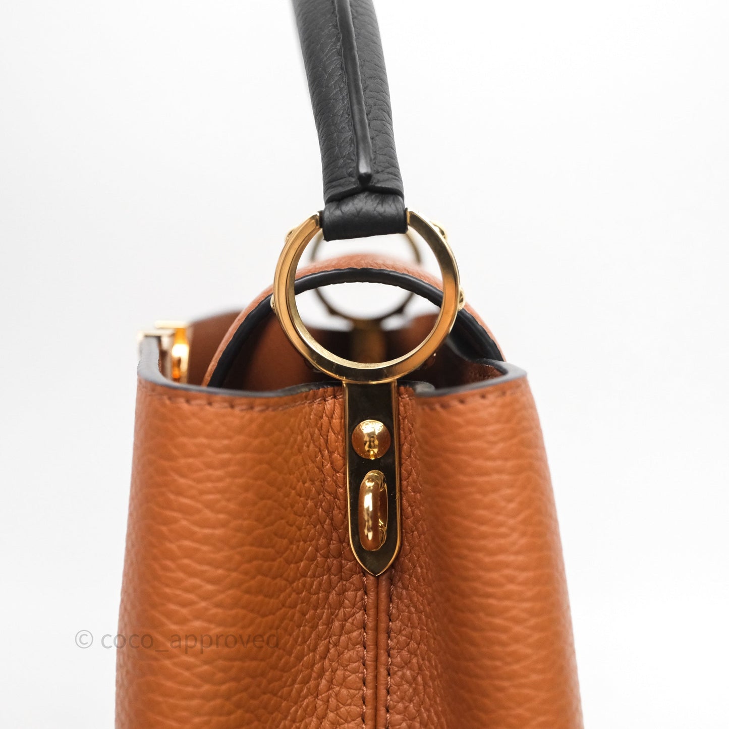 Louis Vuitton Taurillon Capucines BB Tan Gold Hardware