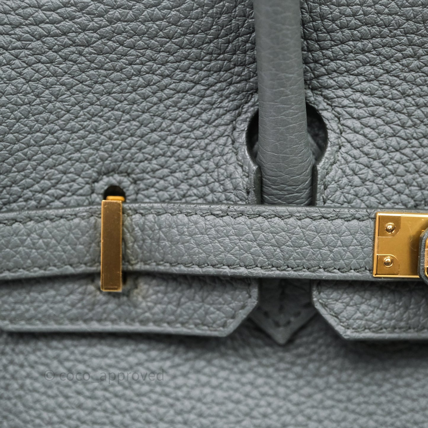 Hermes Birkin 25 Vert Amande Togo Gold Hardware