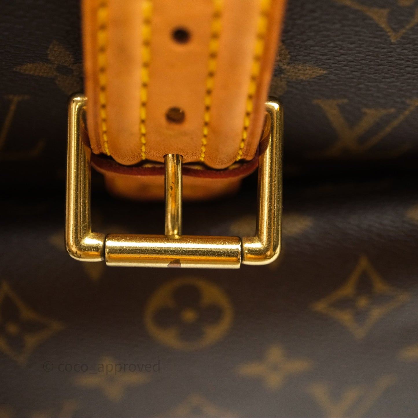 Louis Vuitton Multipli-Cite Tote Monogram Canvas