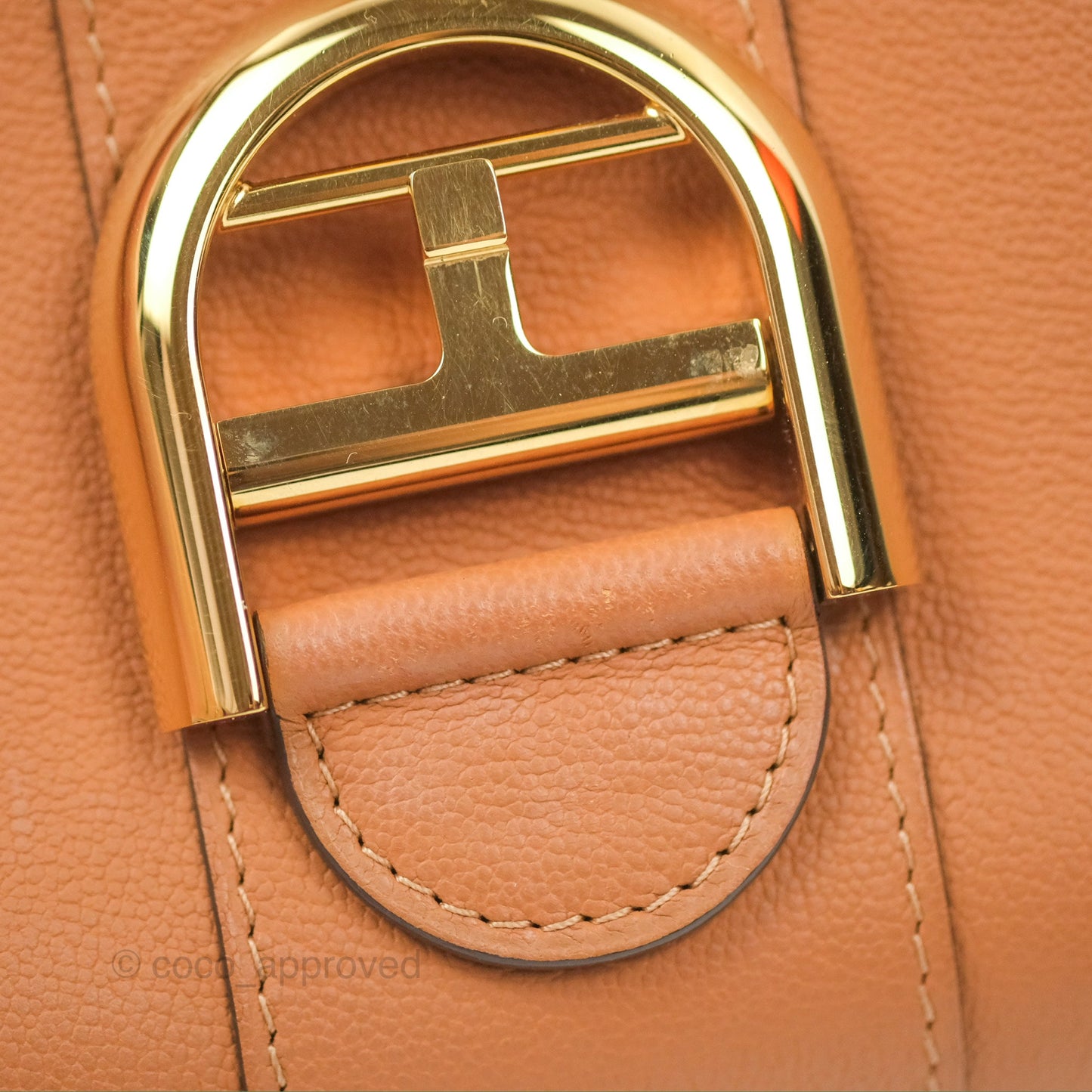 Delvaux Mini Brillant Bag Vegetal Rodeo Calf Gold Hardware