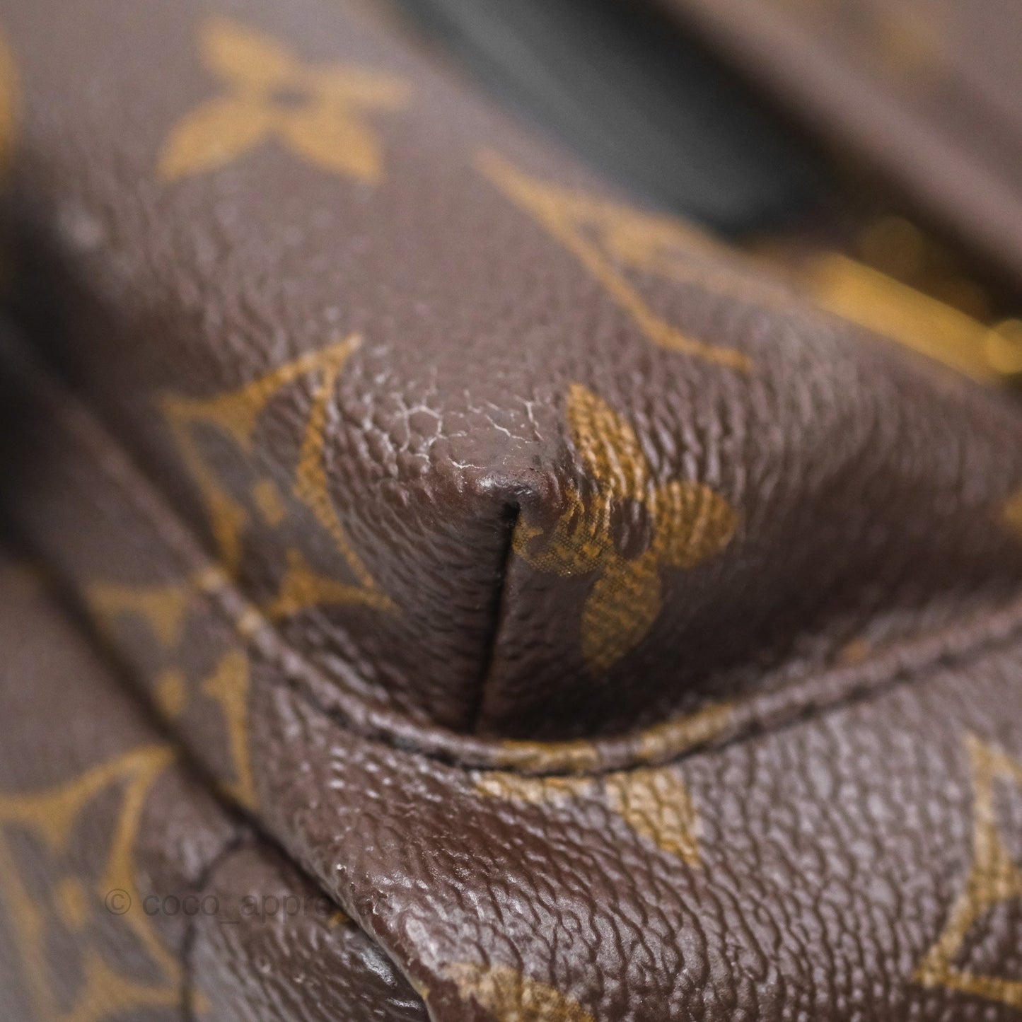 Louis Vuitton Monogram Mini Palm Springs Backpack⁣