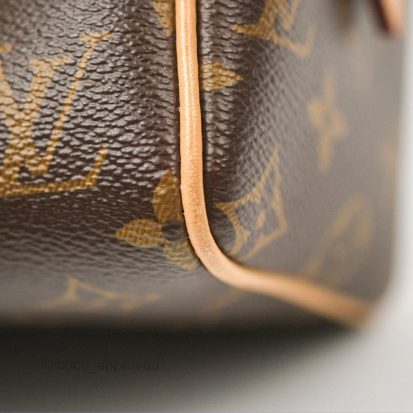 Louis Vuitton Speedy Bandoulière 20 Monogram