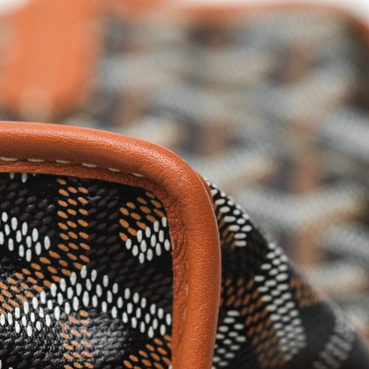 Goyard Anjou Mini Bag Goyardine Canvas Black/ Tan