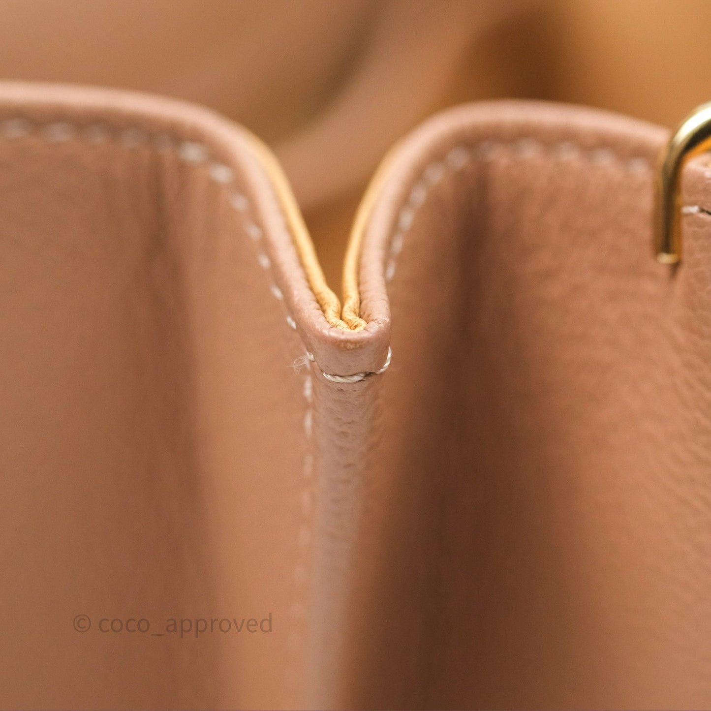 Delvaux Mini Brillant Bag Vison Grained Calfskin Gold Hardware with Twilly