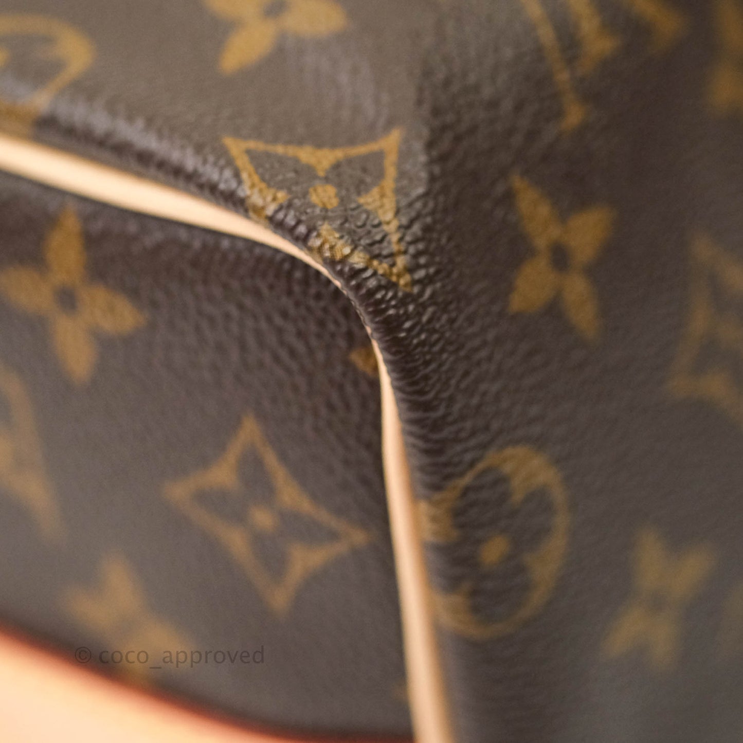 Louis Vuitton Monogram Canvas Speedy 25