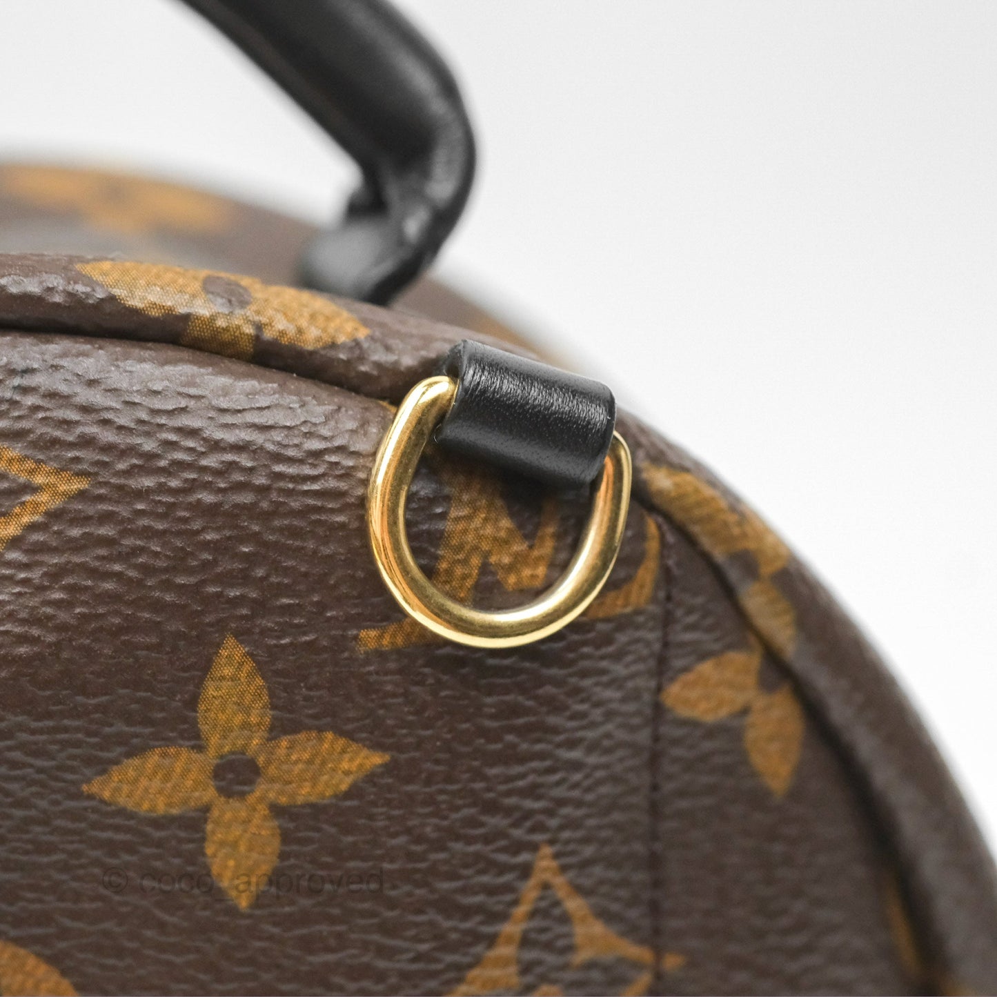 Louis Vuitton Mini Palm Springs Backpack⁣ Monogram Canvas