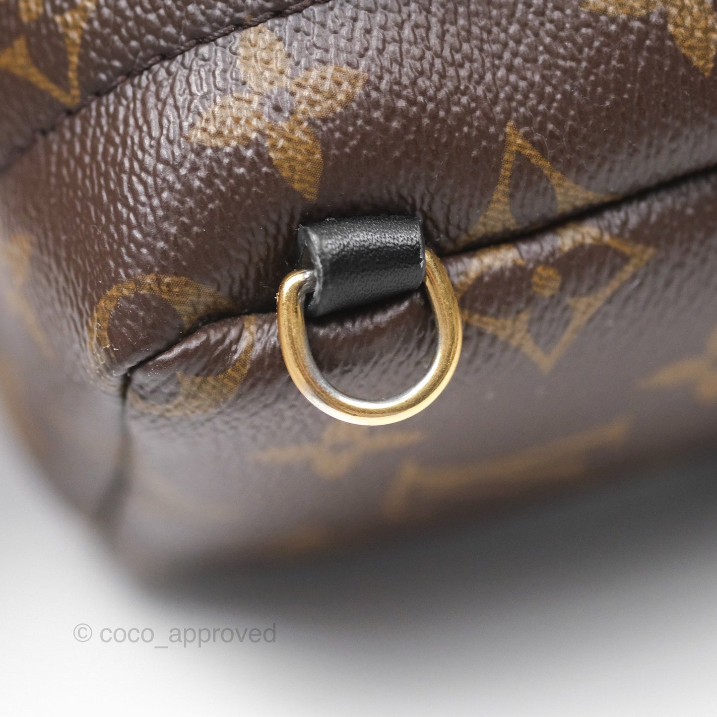 Louis Vuitton Monogram Mini Palm Springs Backpack⁣