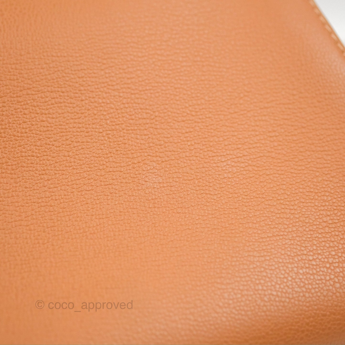 Delvaux Mini Brillant Bag Vegetal Rodeo Calf Gold Hardware