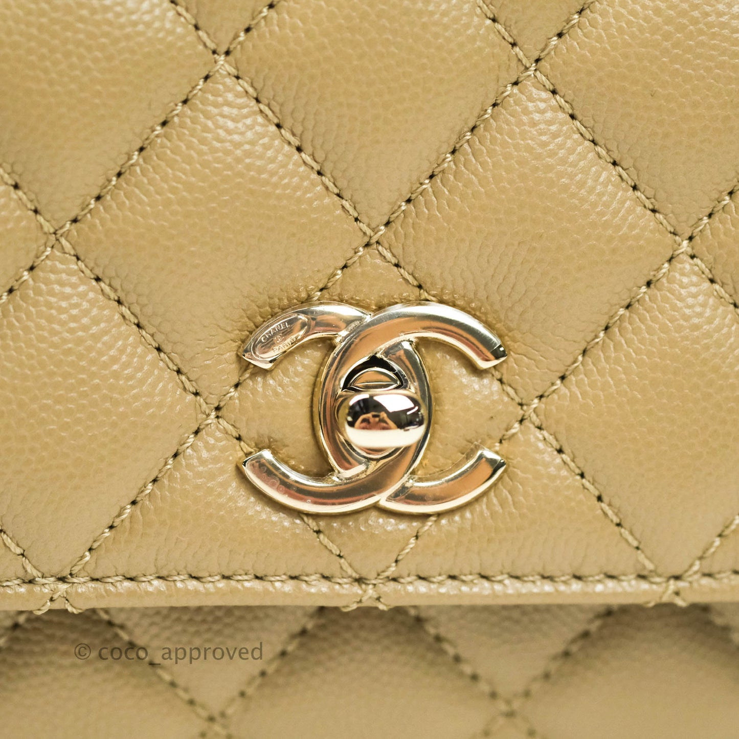 Chanel Mini (Small) Beige Coco Handle Quilted Caviar Gold Hardware Embossed Lizard Handle 21A