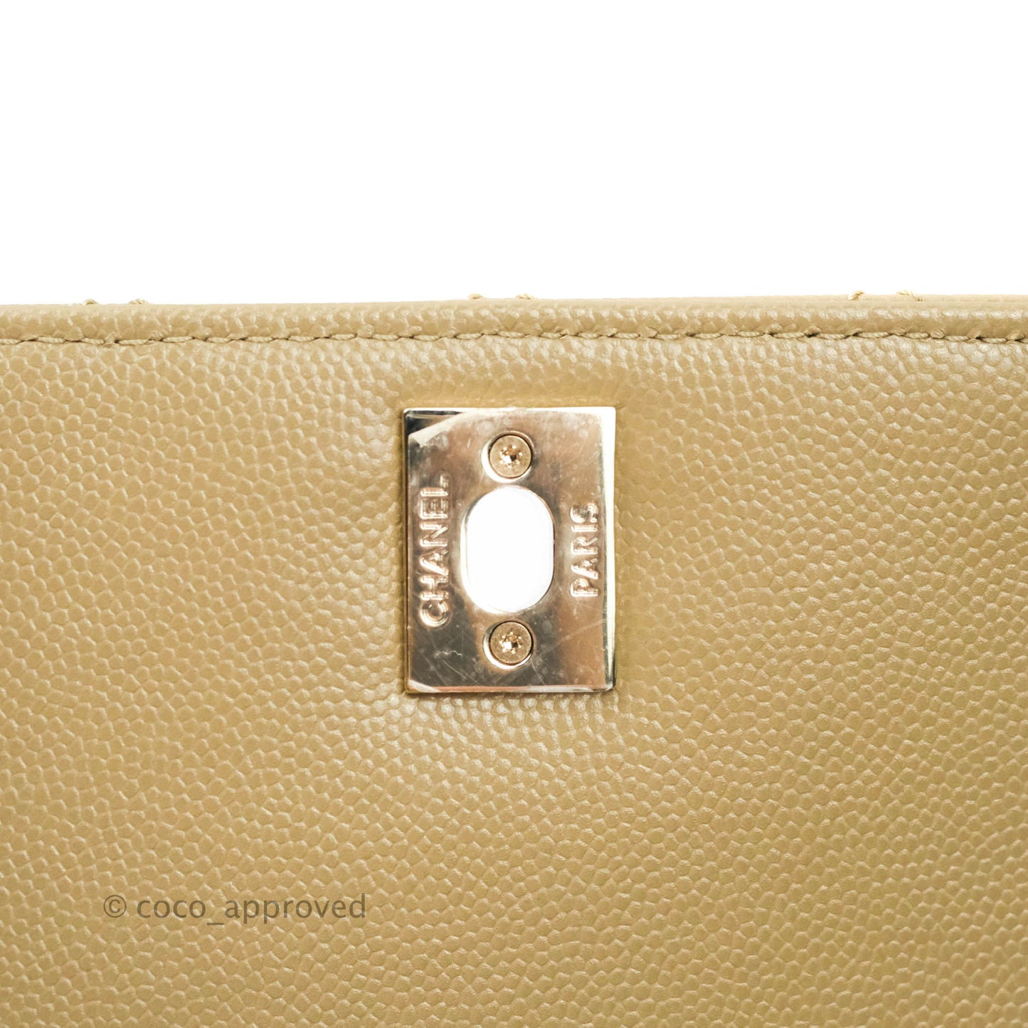 Chanel Mini (Small) Beige Coco Handle Quilted Caviar Gold Hardware Embossed Lizard Handle 21A