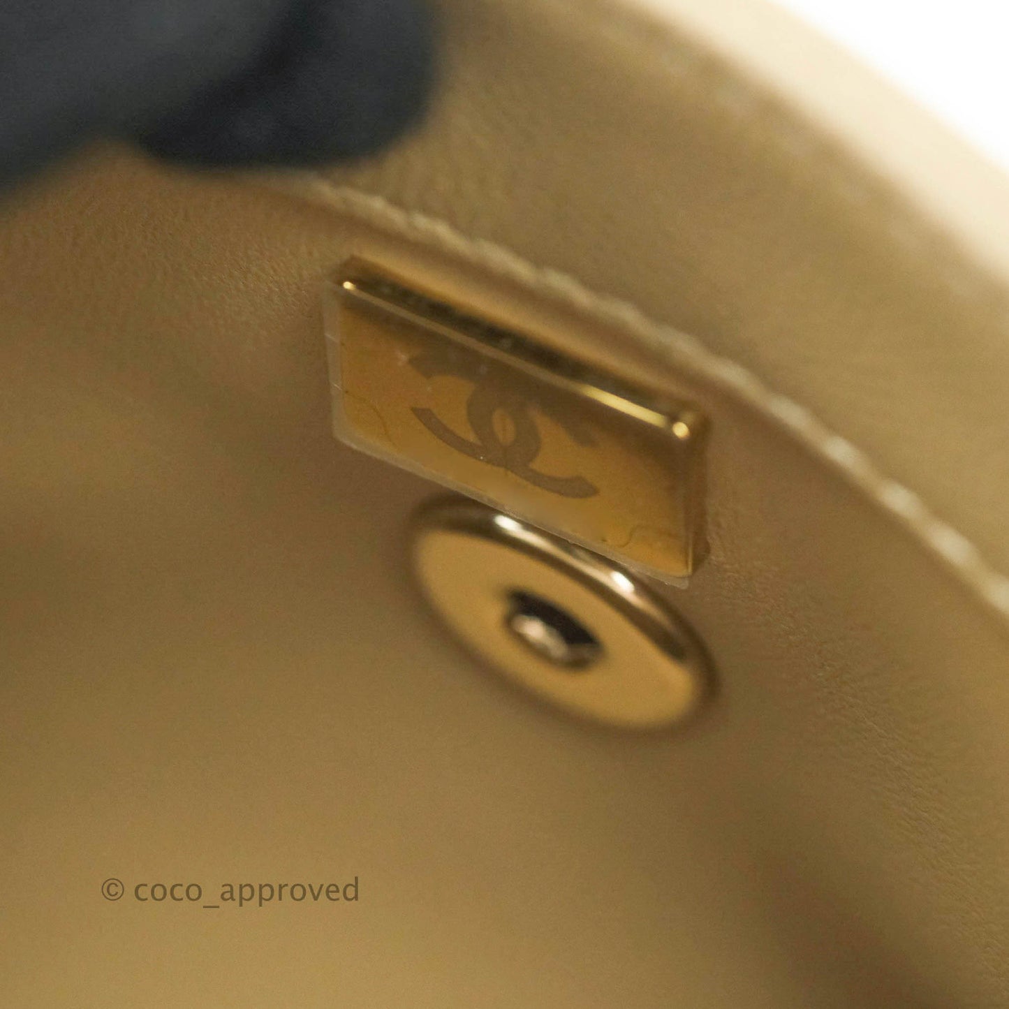 Chanel Mini (Small) Beige Coco Handle Quilted Caviar Gold Hardware Embossed Lizard Handle 21A