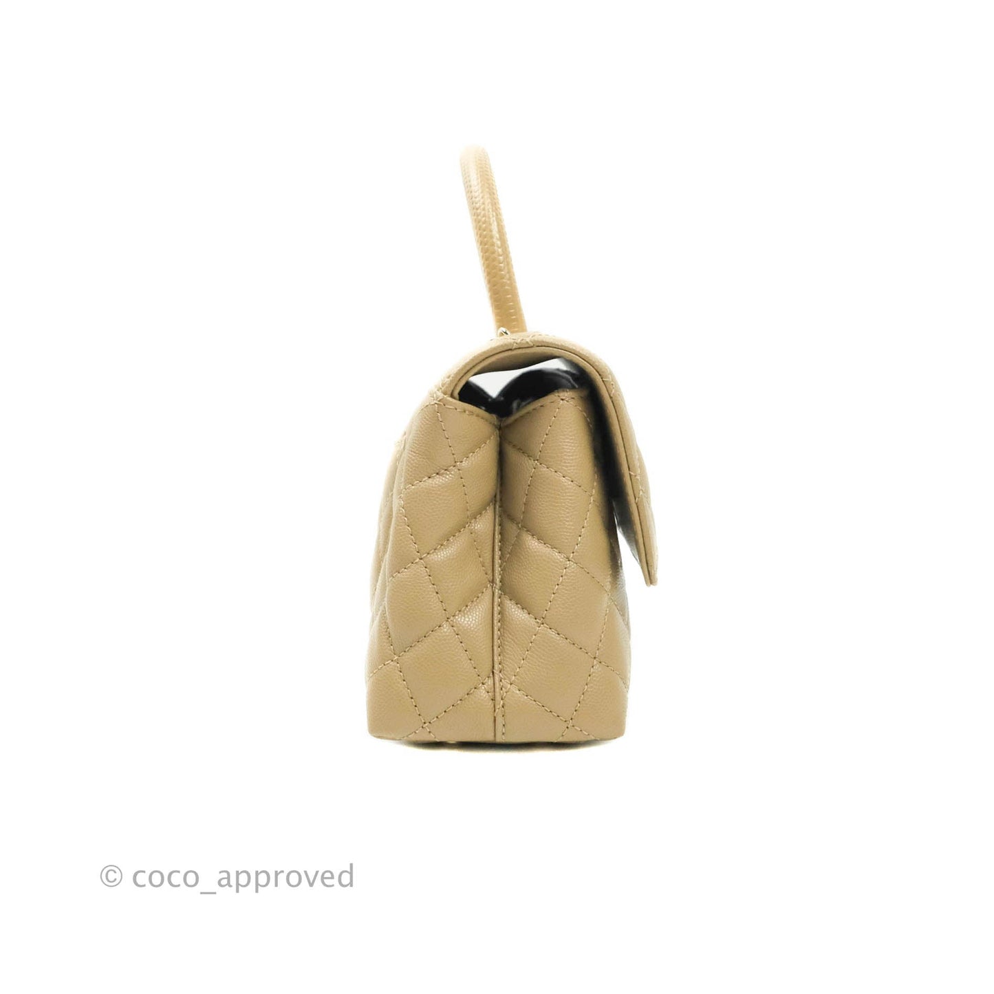 Chanel Mini (Small) Beige Coco Handle Quilted Caviar Gold Hardware Embossed Lizard Handle 21A