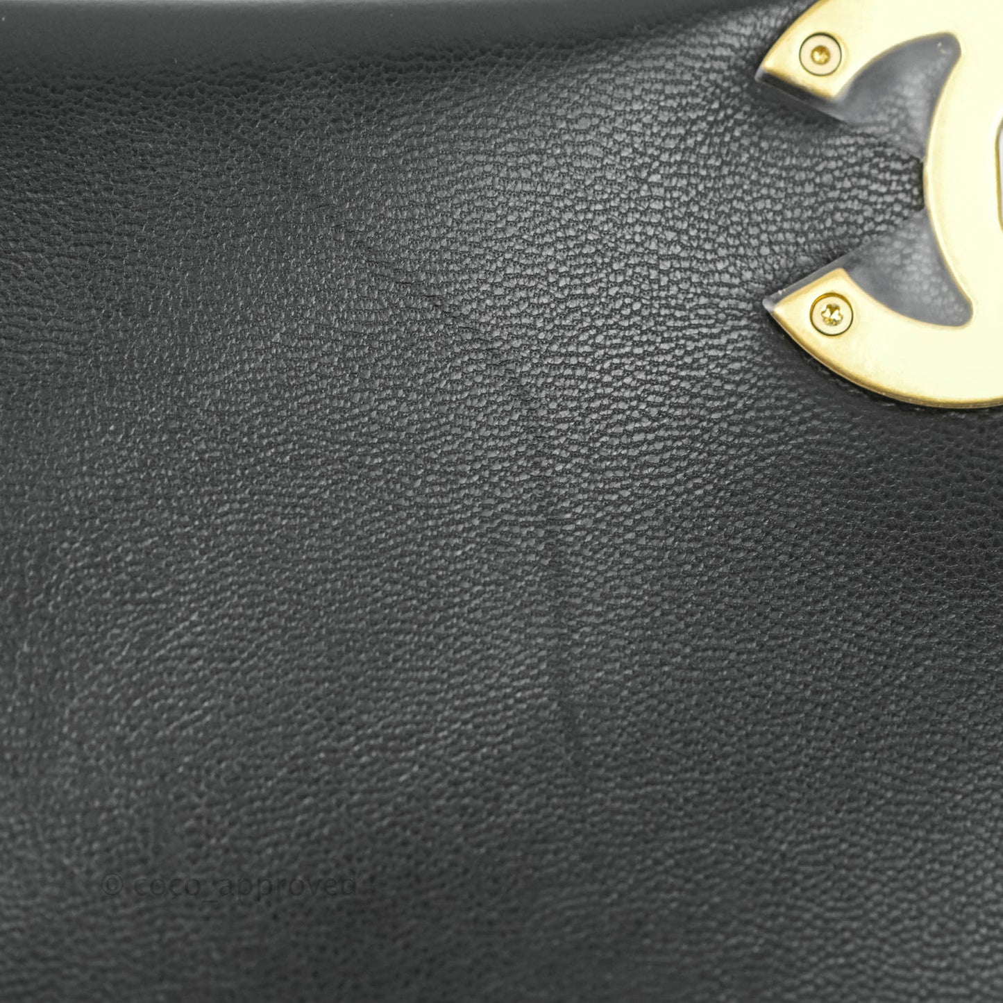 Chanel 19 Small Flap Bag Black Goatskin Mixed Hardware 20K