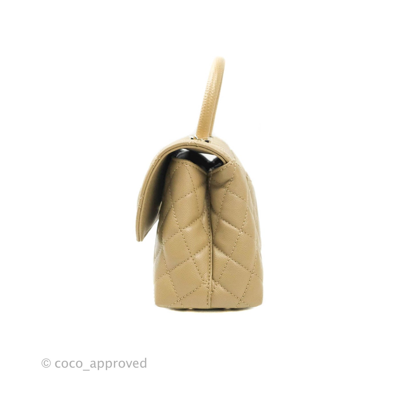 Chanel Mini (Small) Beige Coco Handle Quilted Caviar Gold Hardware Embossed Lizard Handle 21A