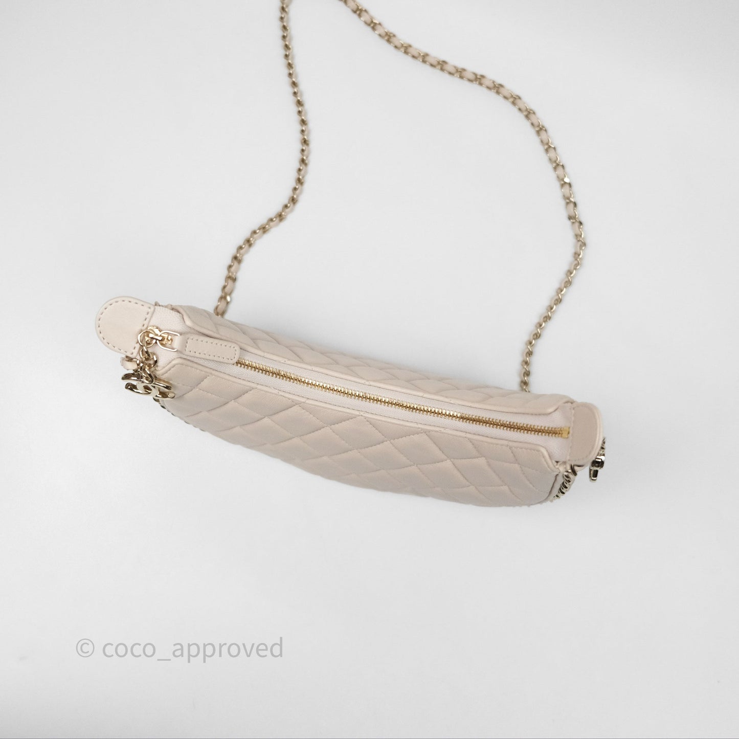 Chanel Small Hobo Bag Light Beige Lambskin Gold Hardware 23P