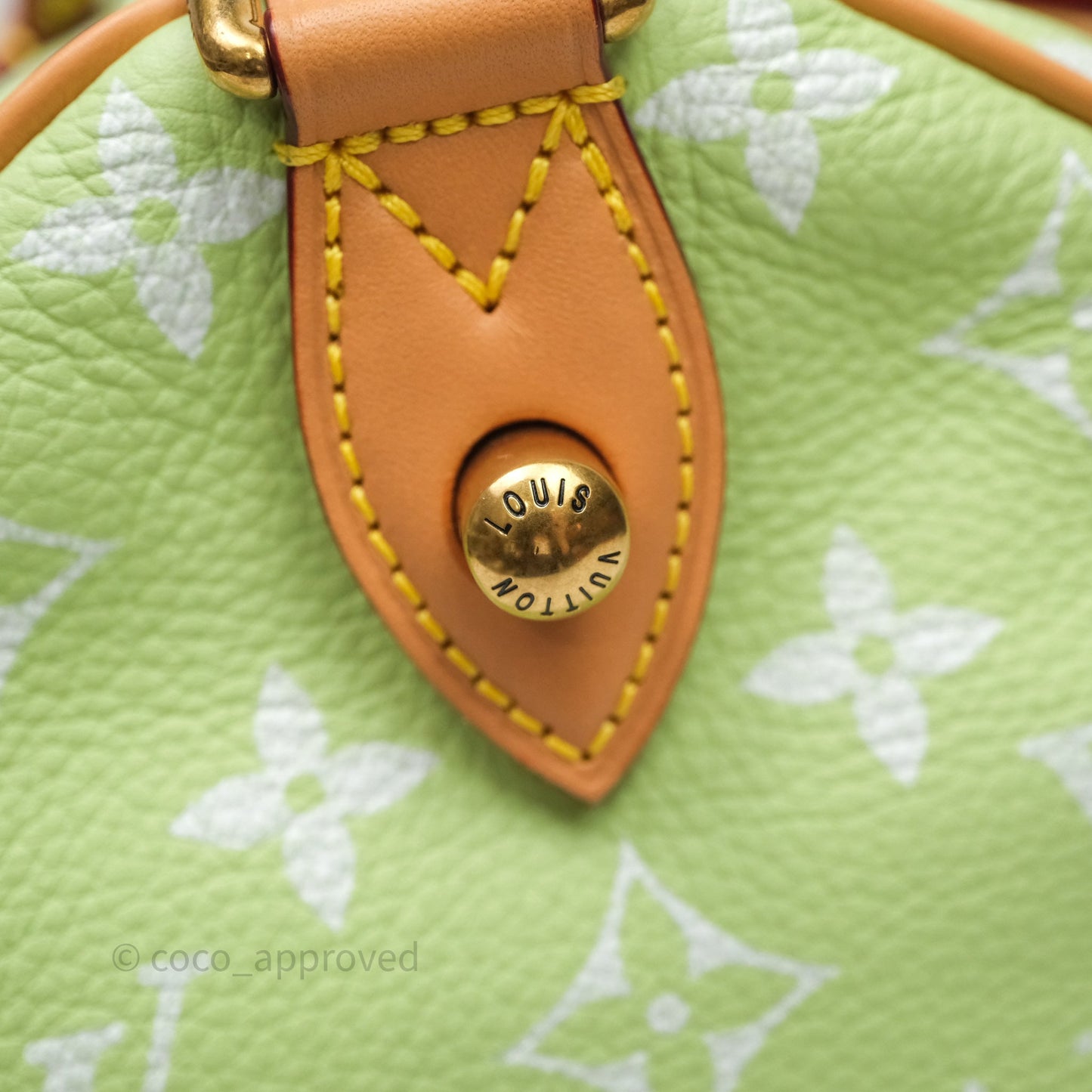 Louis Vuitton Speedy P9 Bandouliere 30 Vert Clair Bag