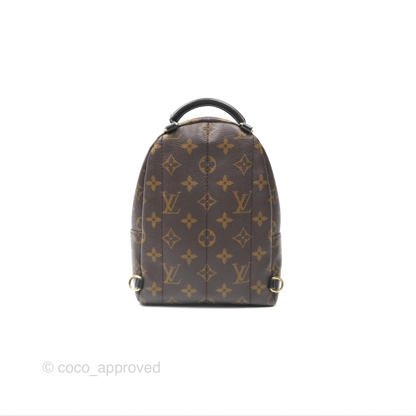 Louis Vuitton Mini Palm Springs Backpack⁣ Monogram