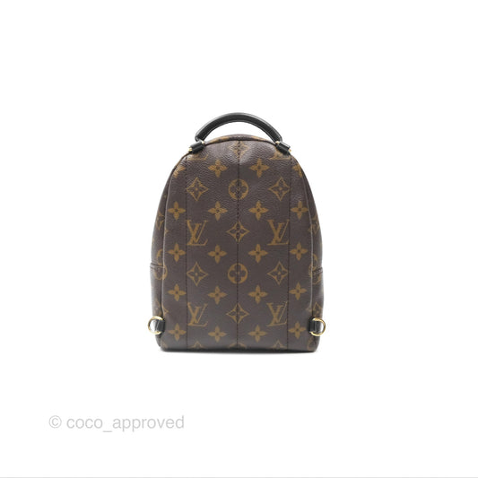 Louis Vuitton Mini Palm Springs Backpack⁣ Monogram