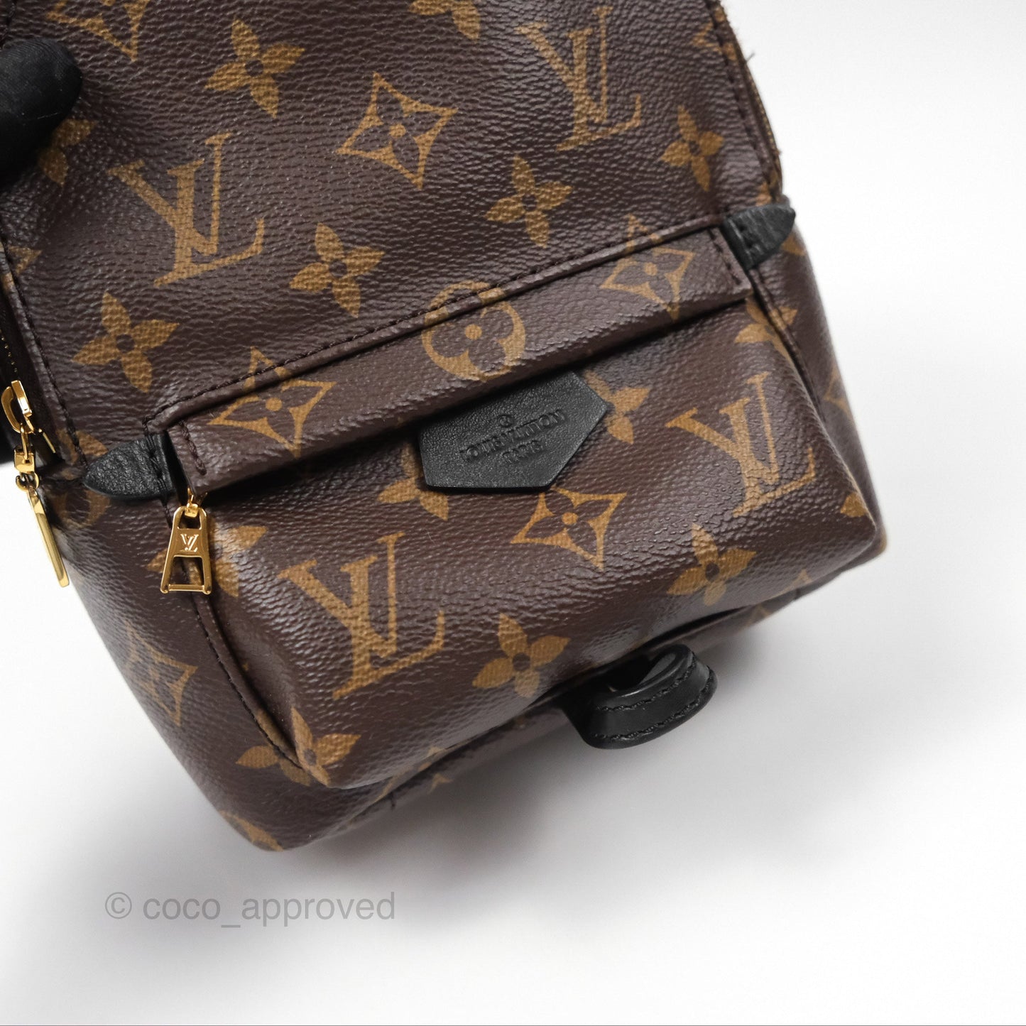 Louis Vuitton Monogram Mini Palm Springs Backpack⁣