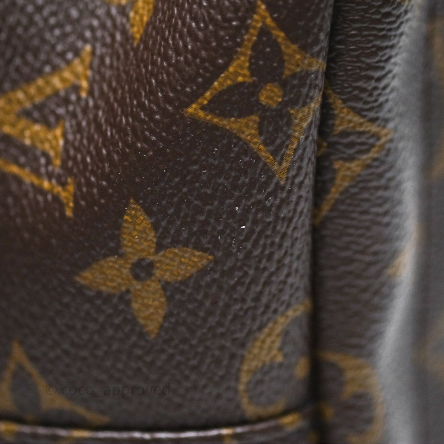 Louis Vuitton Monogram Mini Palm Springs Backpack⁣
