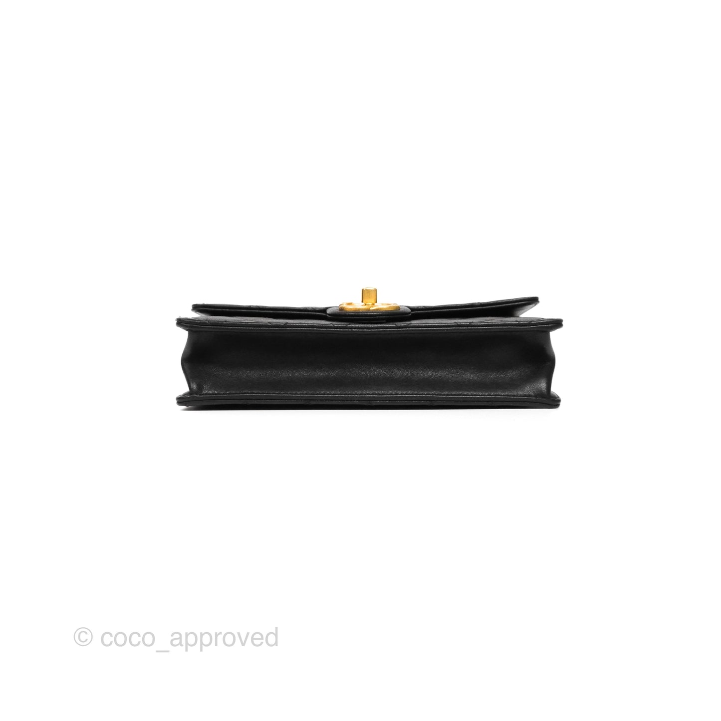 Chanel Small Chic Pearls Flap Quilted Black Goatskin Aged Gold Hardware