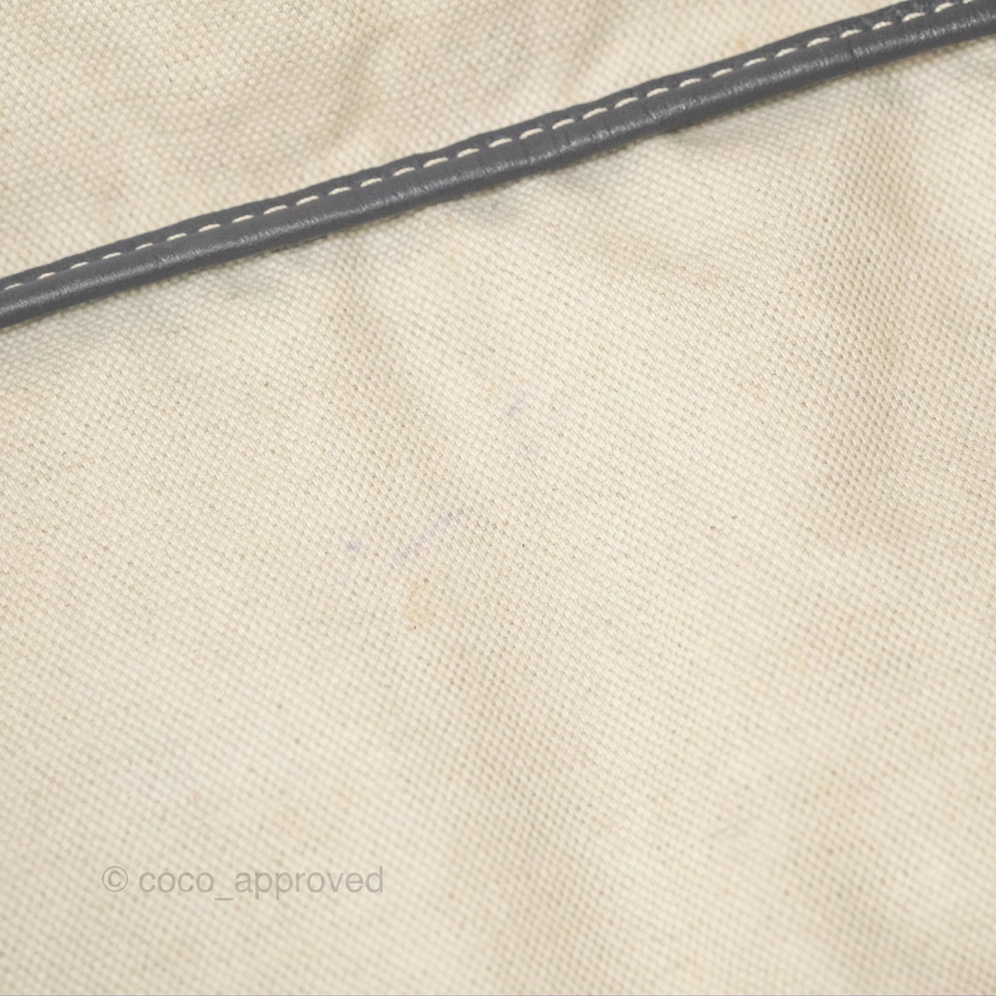 Goyard St Louis Tote PM ⁣⁣⁣⁣⁣⁣⁣⁣⁣⁣⁣⁣⁣⁣⁣⁣⁣⁣⁣⁣Grey Goyardine Canvas