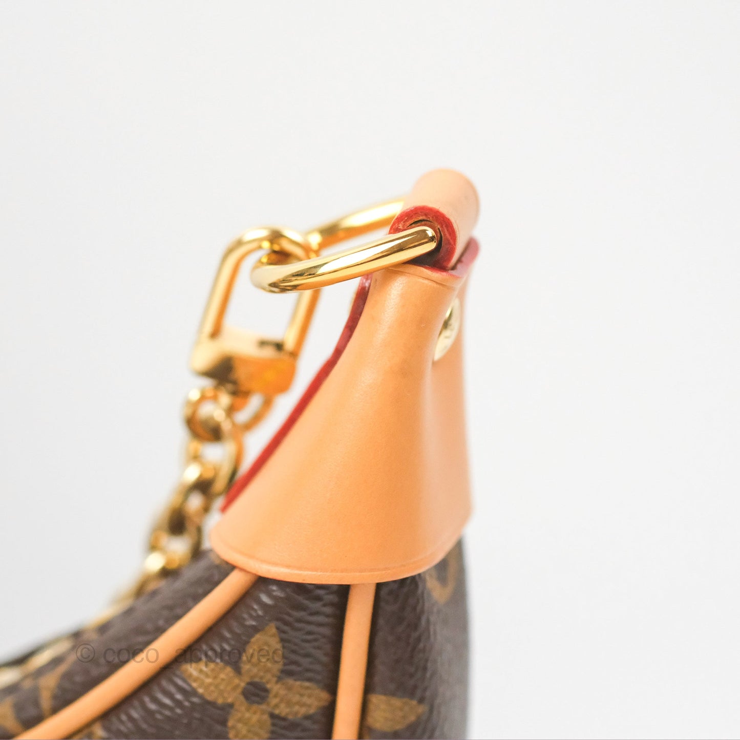 Louis Vuitton Loop Monogram Canvas