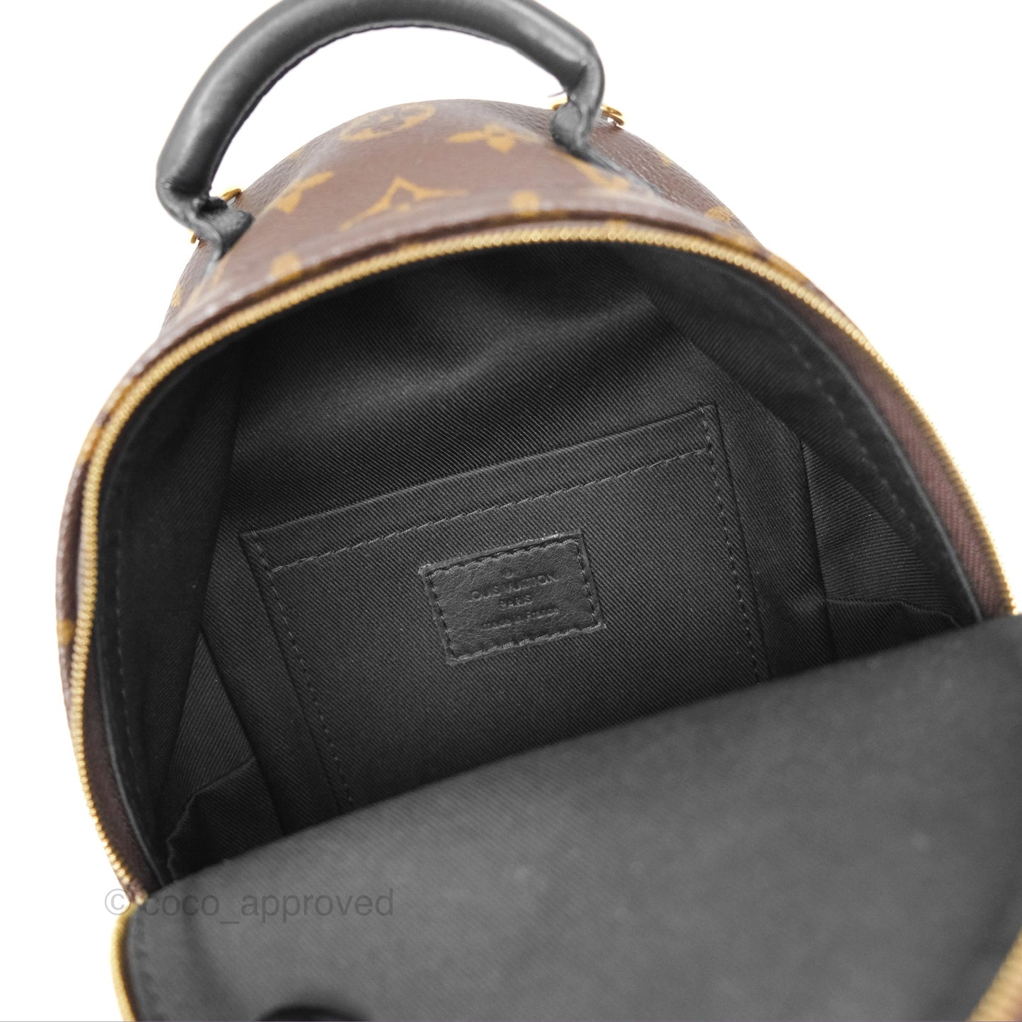 Louis Vuitton Mini Palm Springs Backpack⁣ Monogram