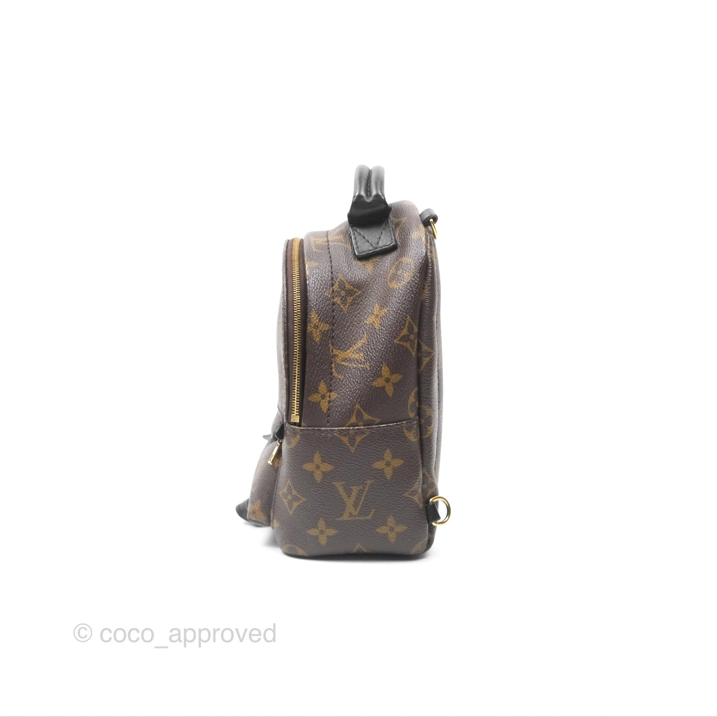 Louis Vuitton Mini Palm Springs Backpack⁣ Monogram
