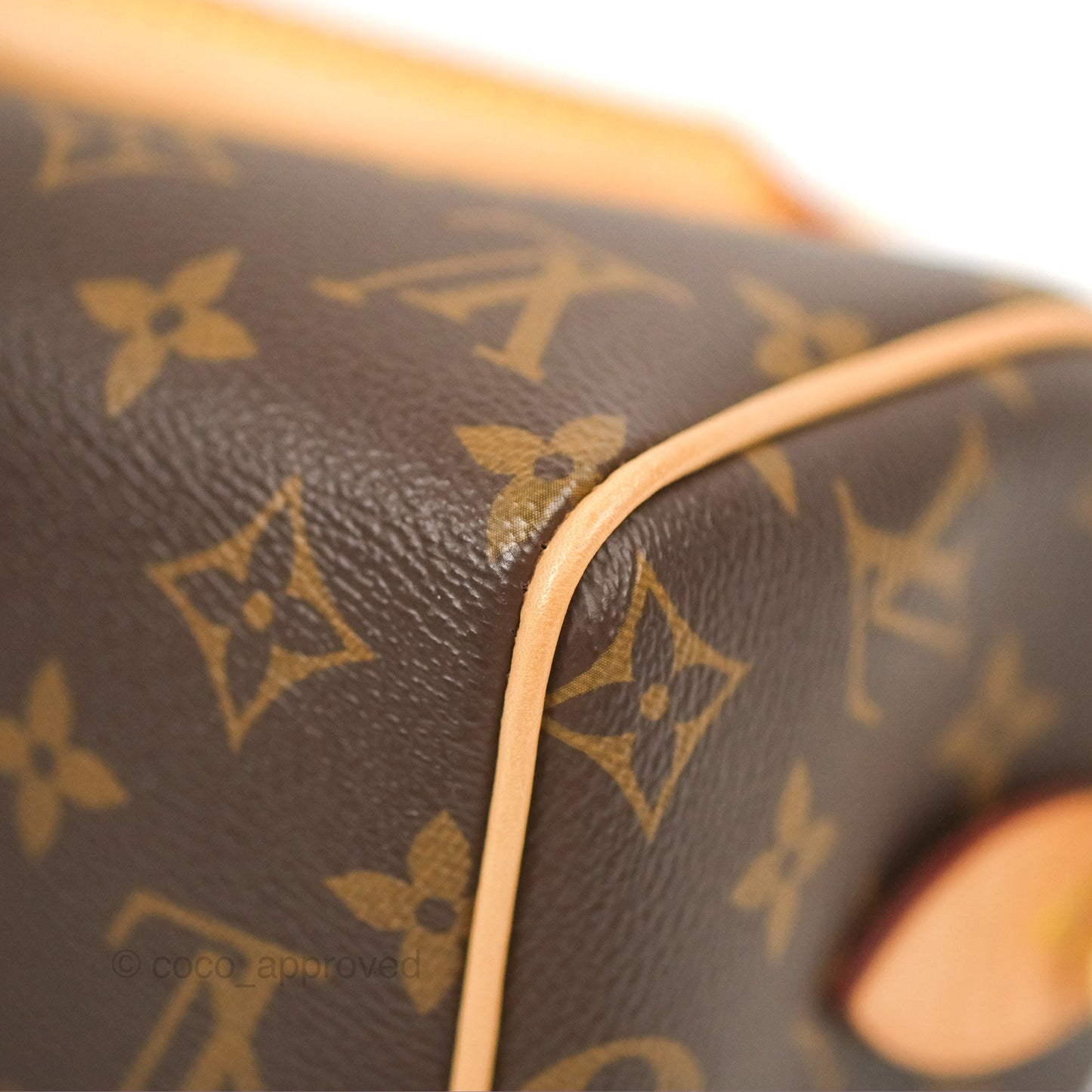 Louis Vuitton Speedy Bandoulière 20 Monogram