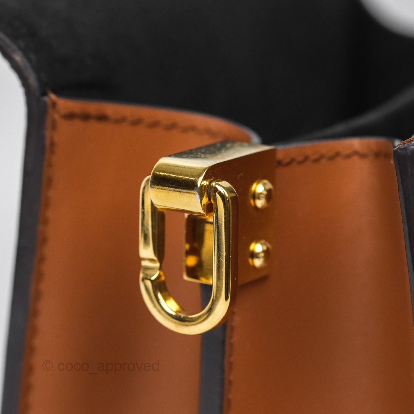 Louis Vuitton Mini Dauphine Monogram Tan Calfskin