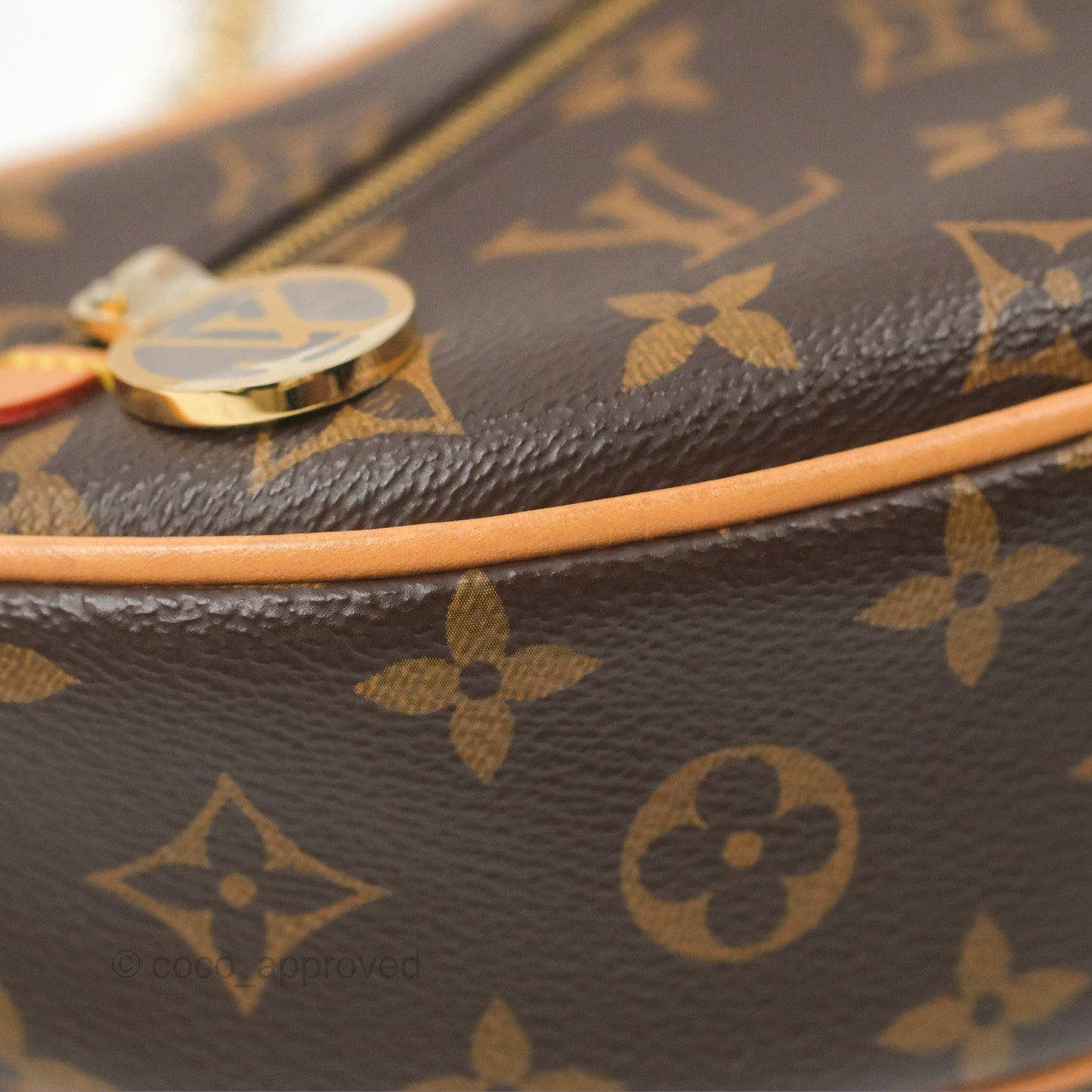 Louis Vuitton Loop Monogram Canvas
