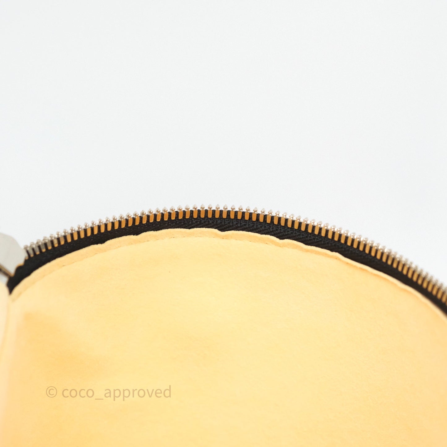 Louis Vuitton Cannes LV Pop Monogram