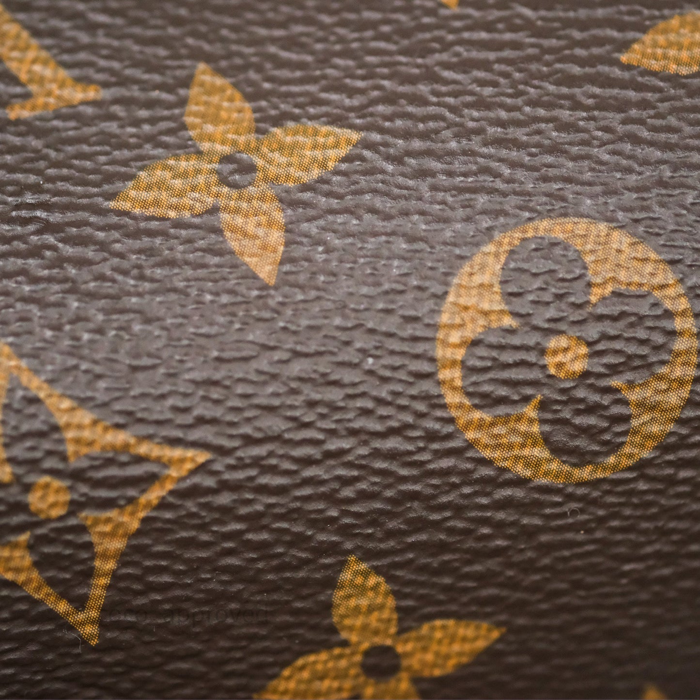 Louis Vuitton Hot Springs Backpack Monogram Patent Snow