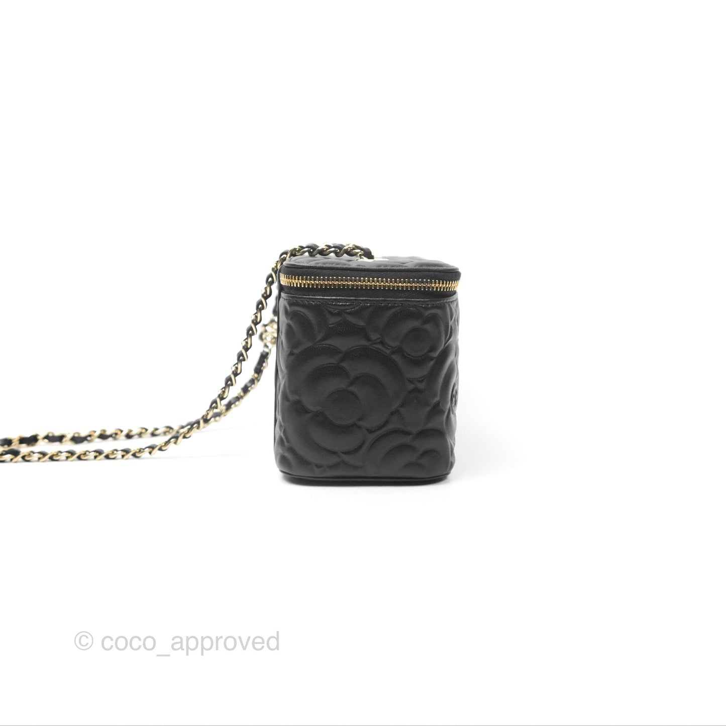 Chanel Vanity Rectangular Camellia Embossed Black Lambskin Gold Hardware 21S