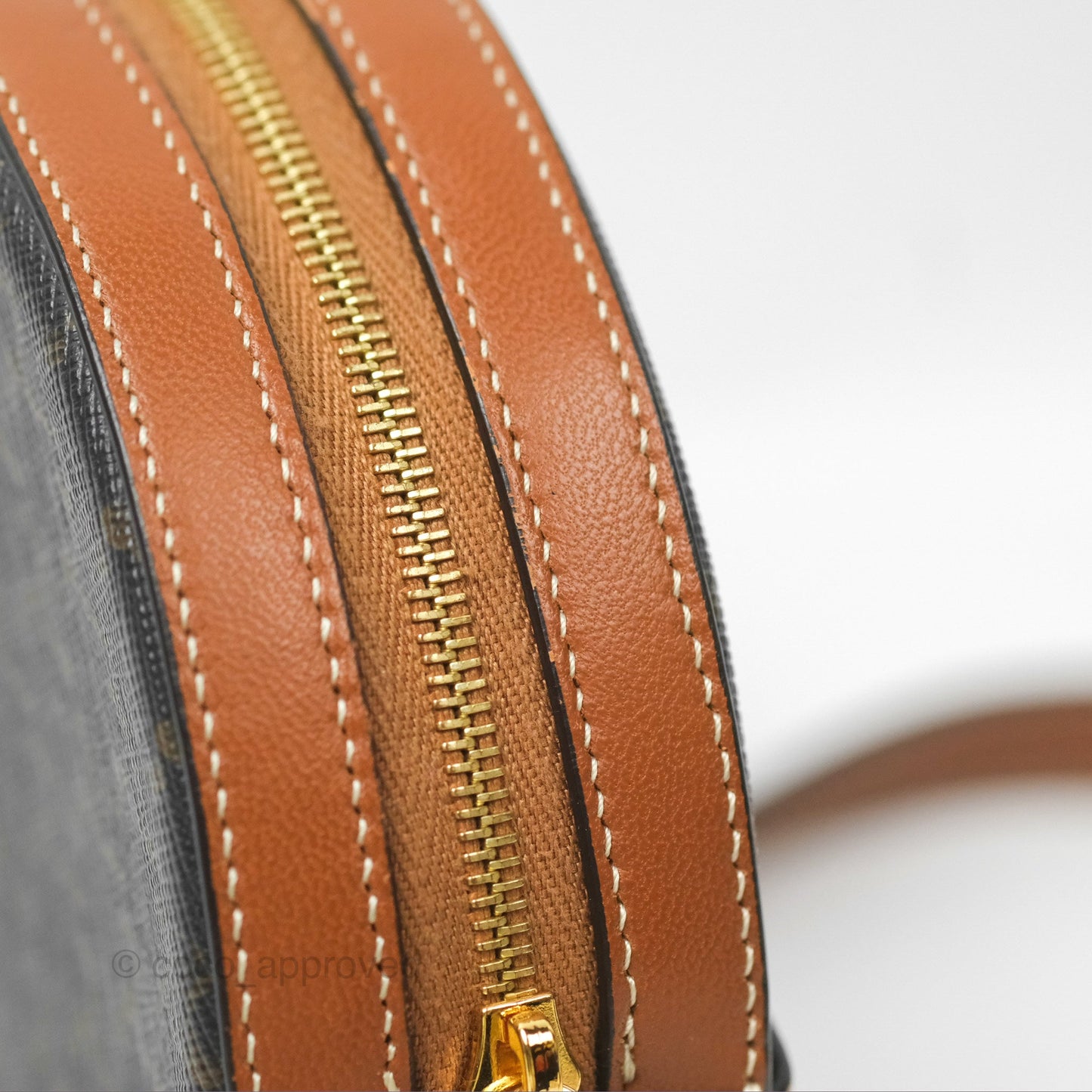 Celine Round Purse on Strap Triomphe Canvas Tan