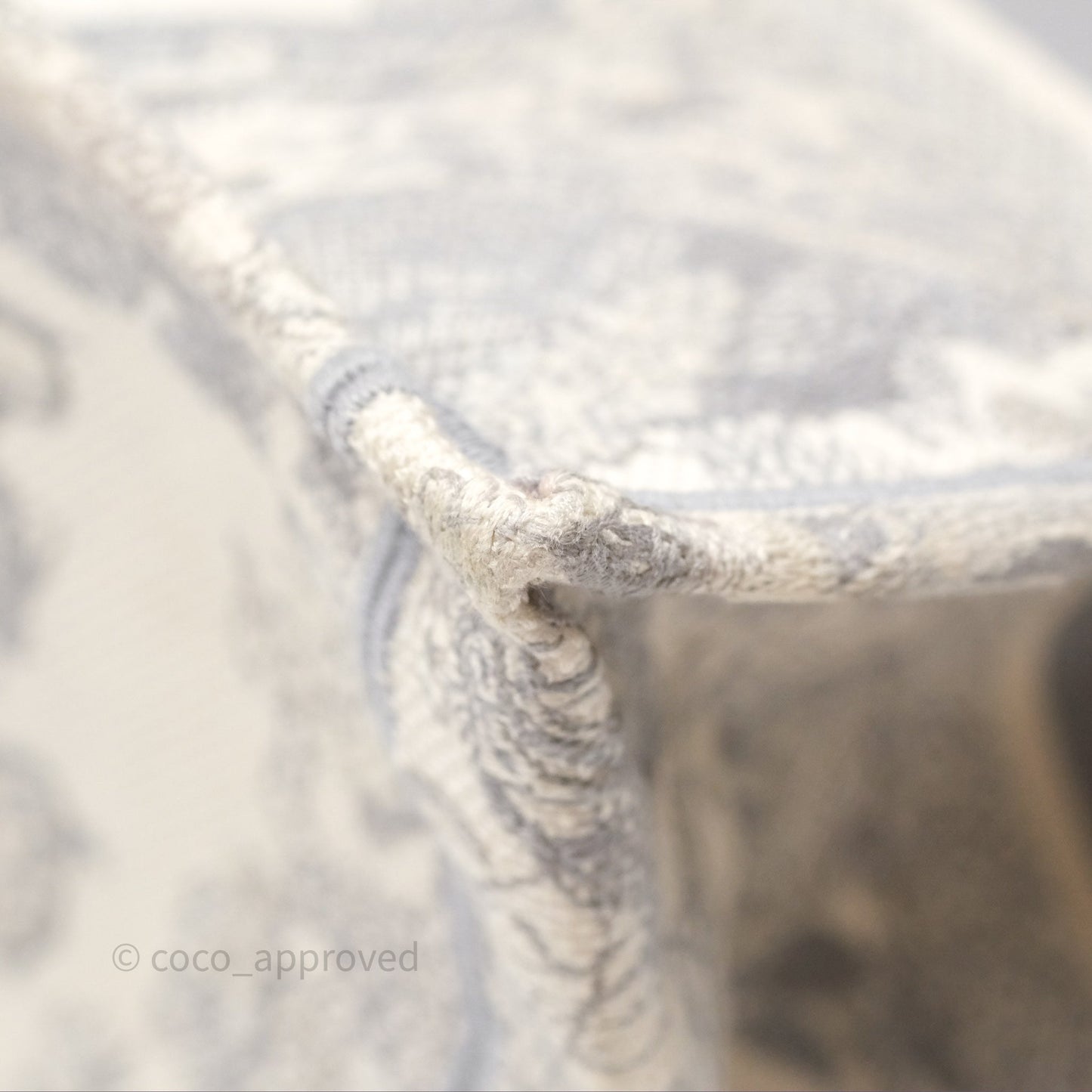 Christian Dior Medium (Old Small) Embroidered Toile De Jouy Light Grey Canvas Book Tote