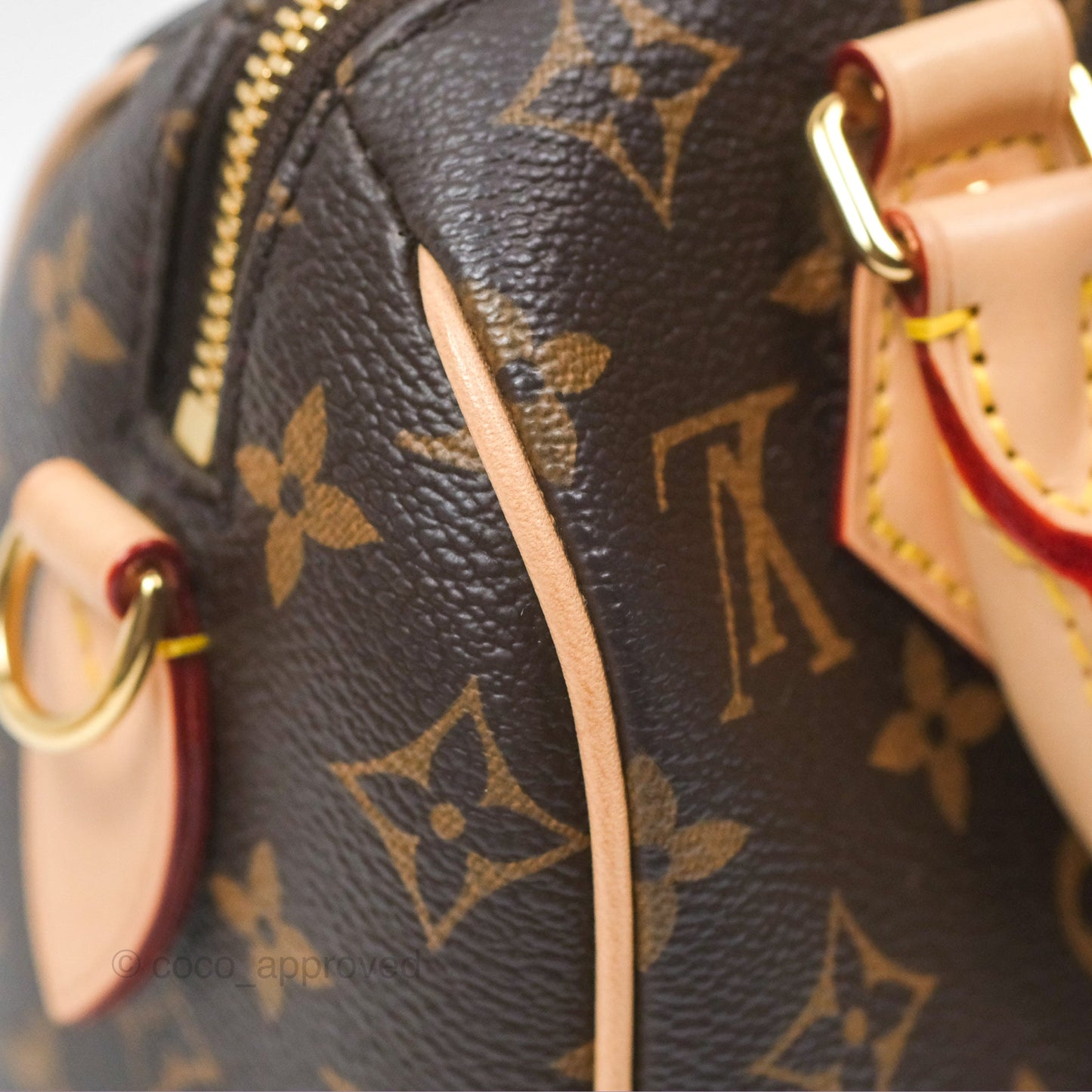 Louis Vuitton Speedy Bandoulière 20 Monogram